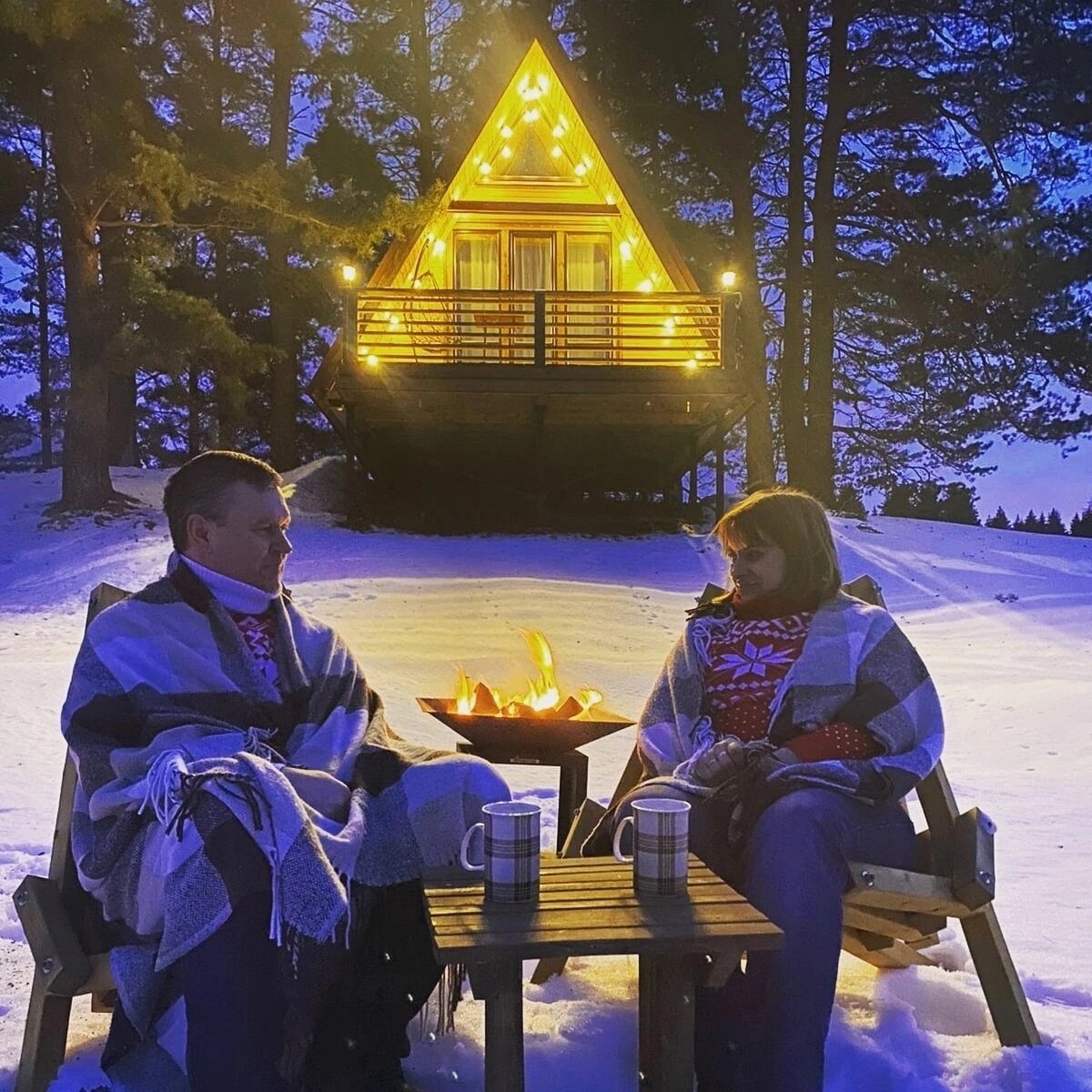 Фото Дом под соснами