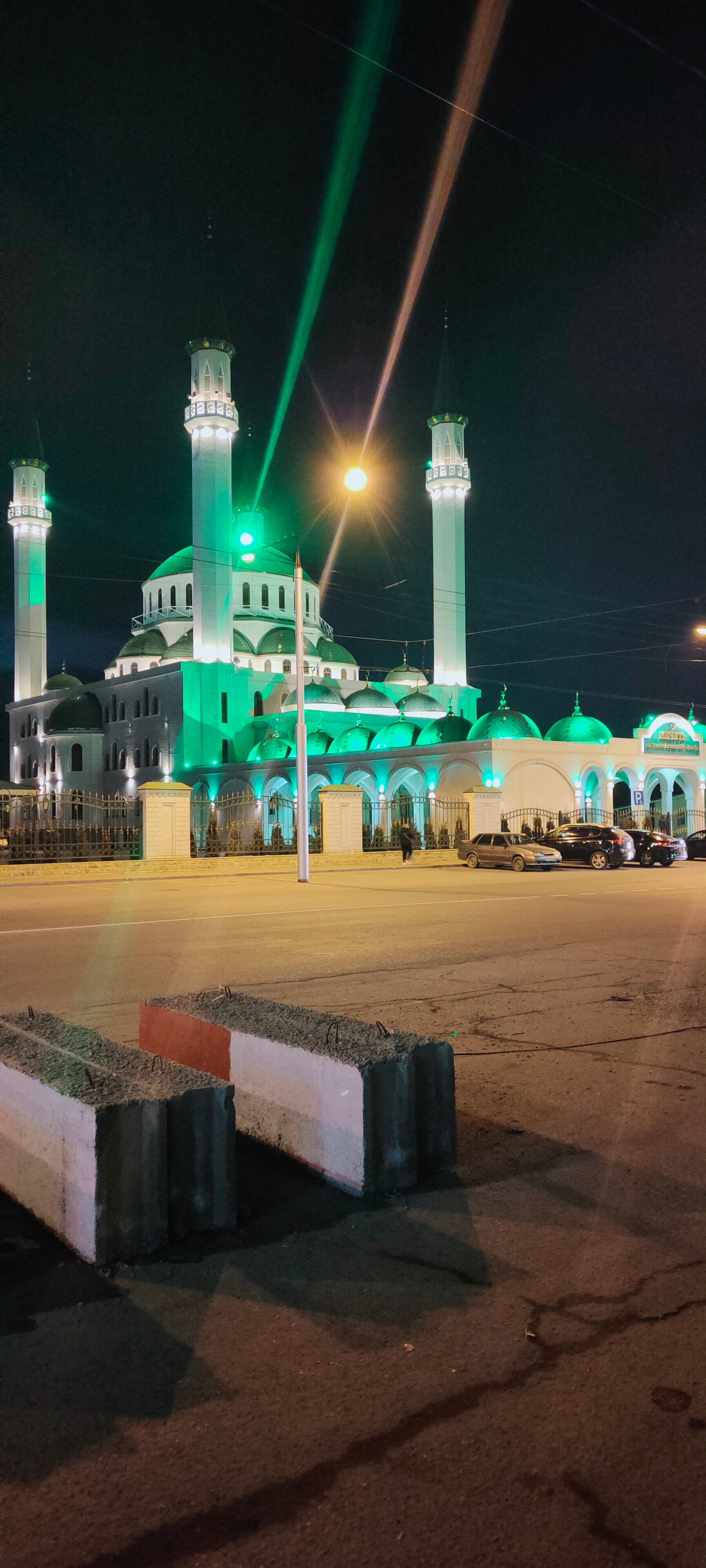 Фото Эдельвейс