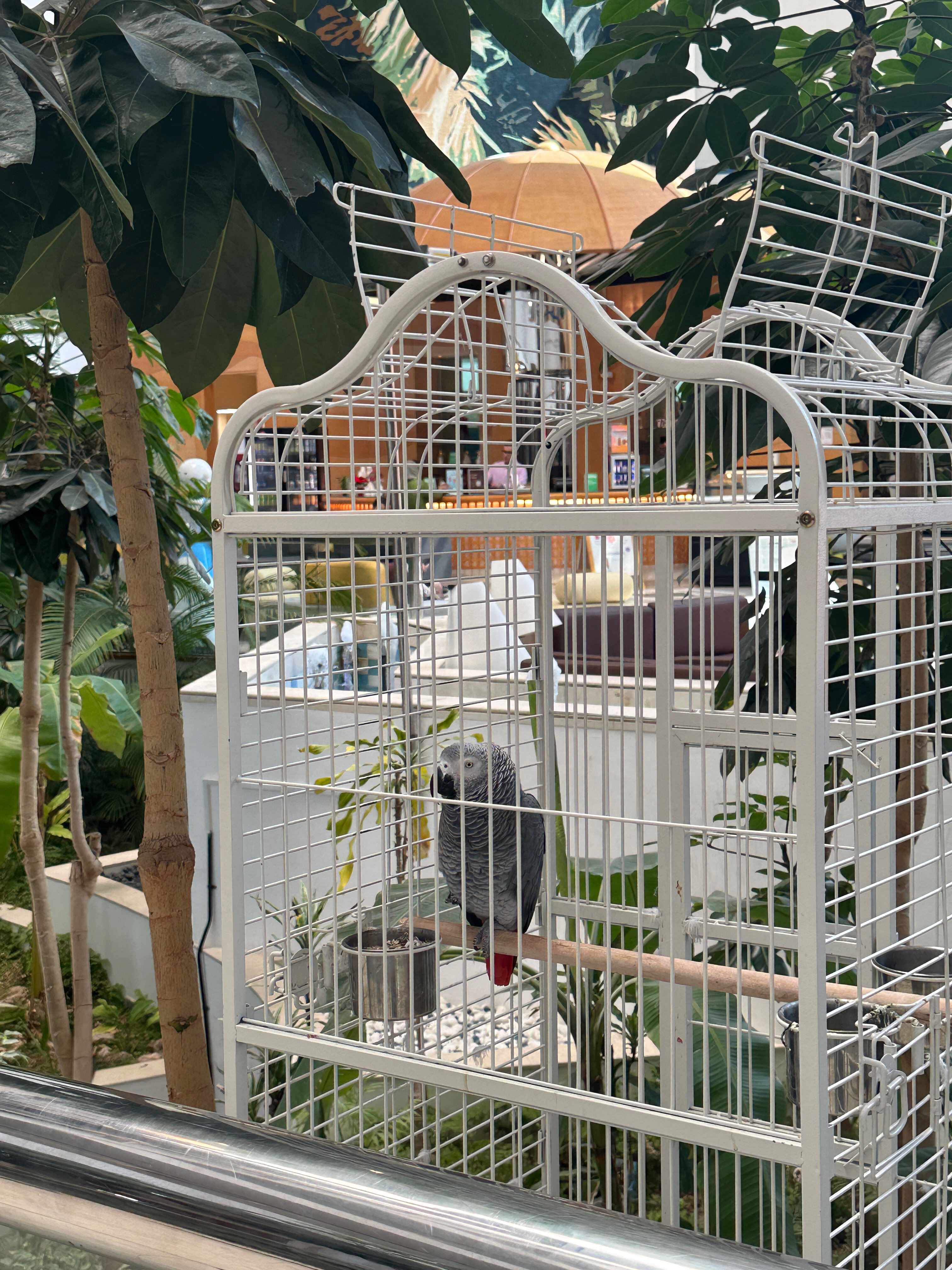 Фото Oryx Grand Hotel Jebel Hafeet