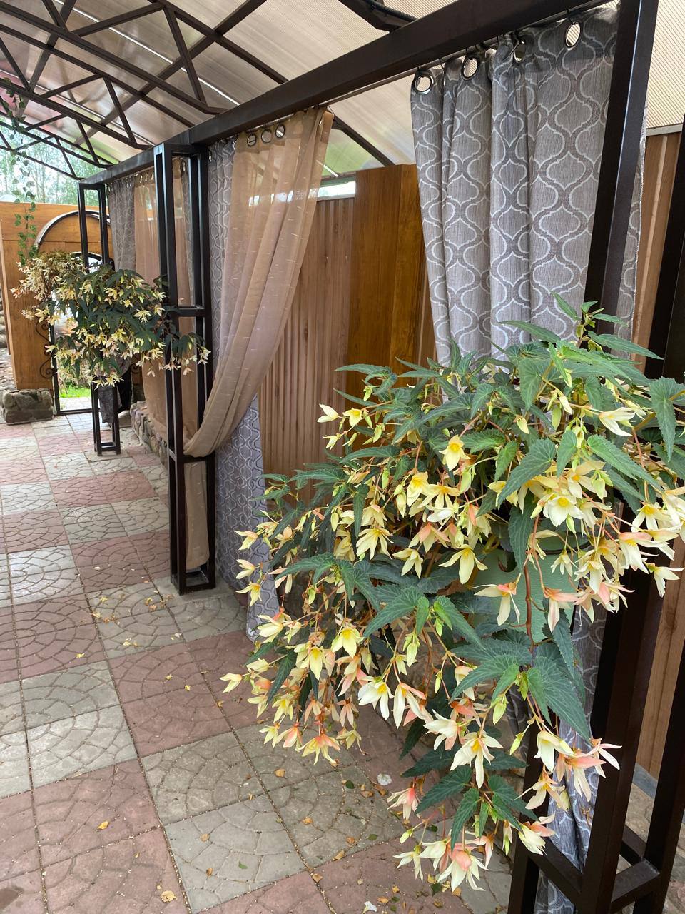 Фото У Кузьмича