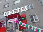 Гербер (Kalinina Street, 77), flower shop