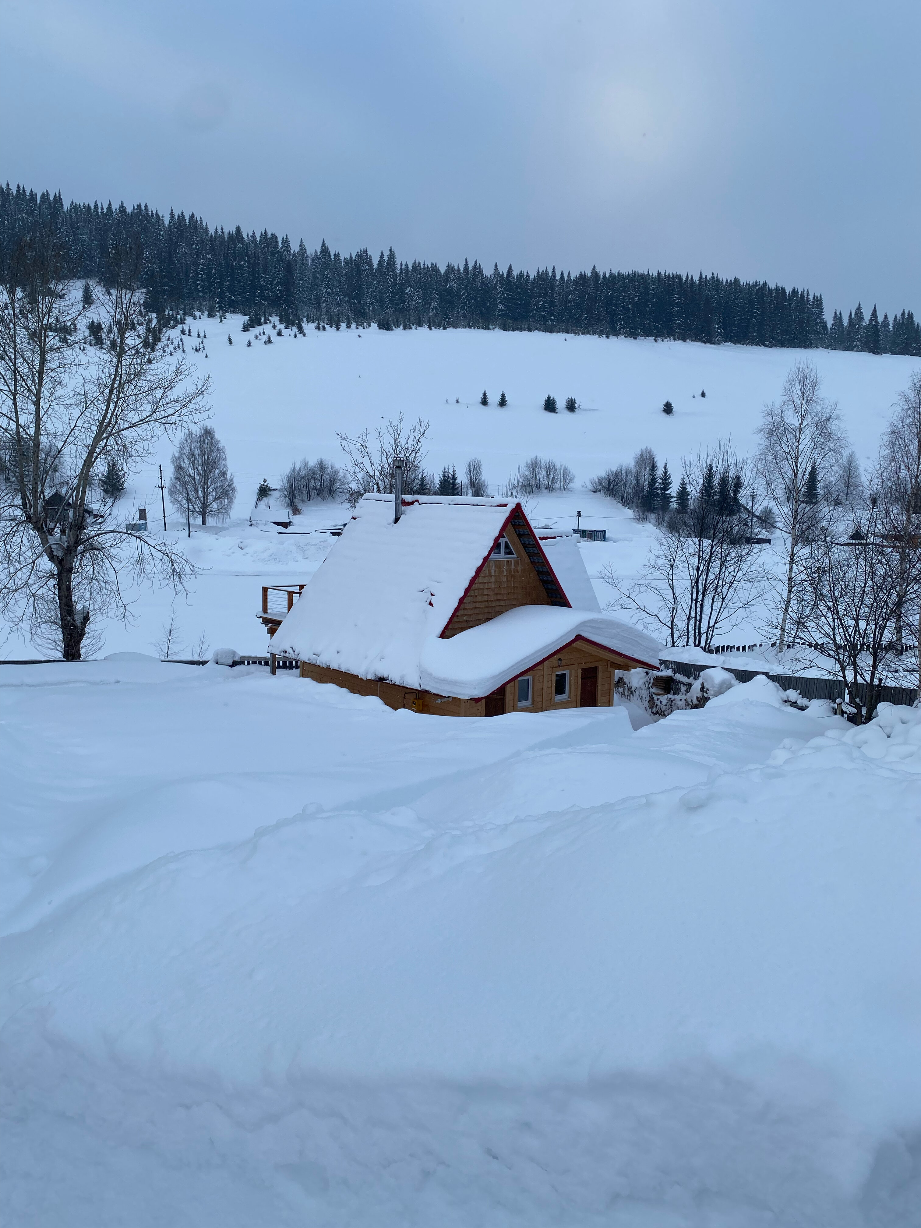 Фото Большая медведица
