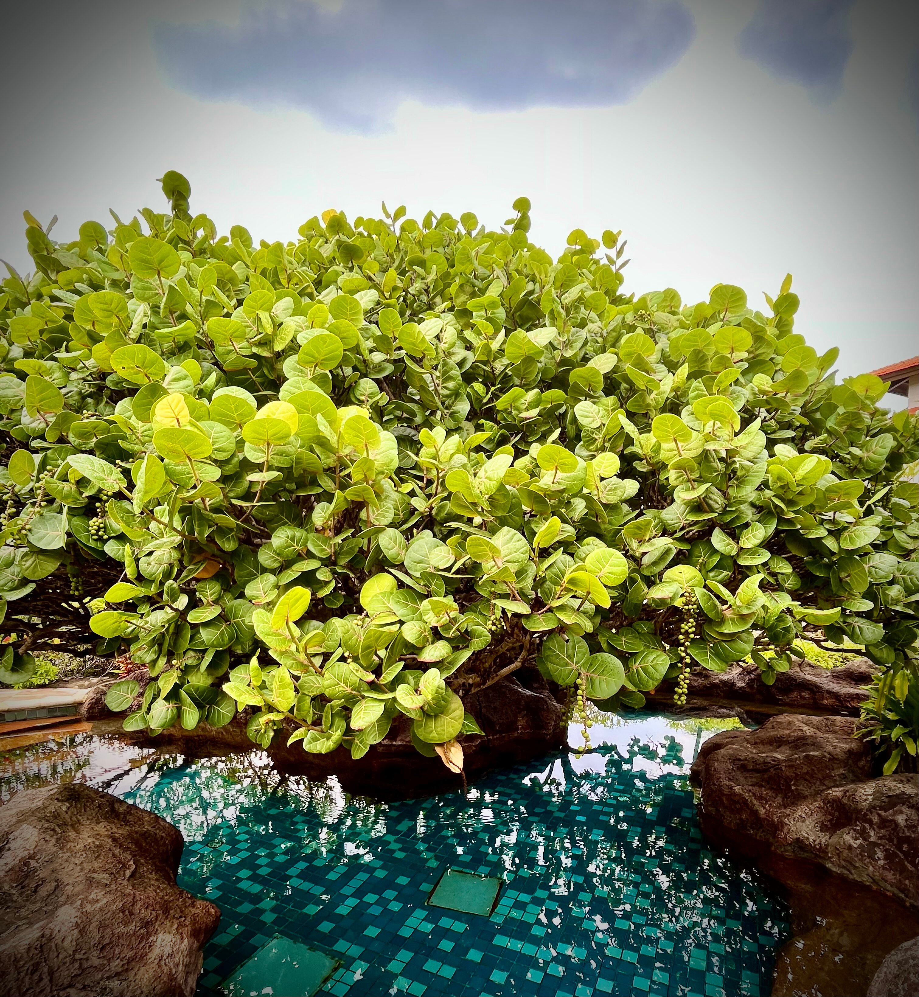 Фото Grand Hyatt Bali