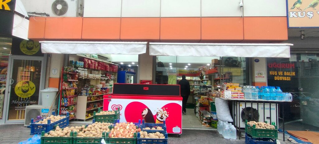 Cheese factory Uslu Dairy, Izmir, photo