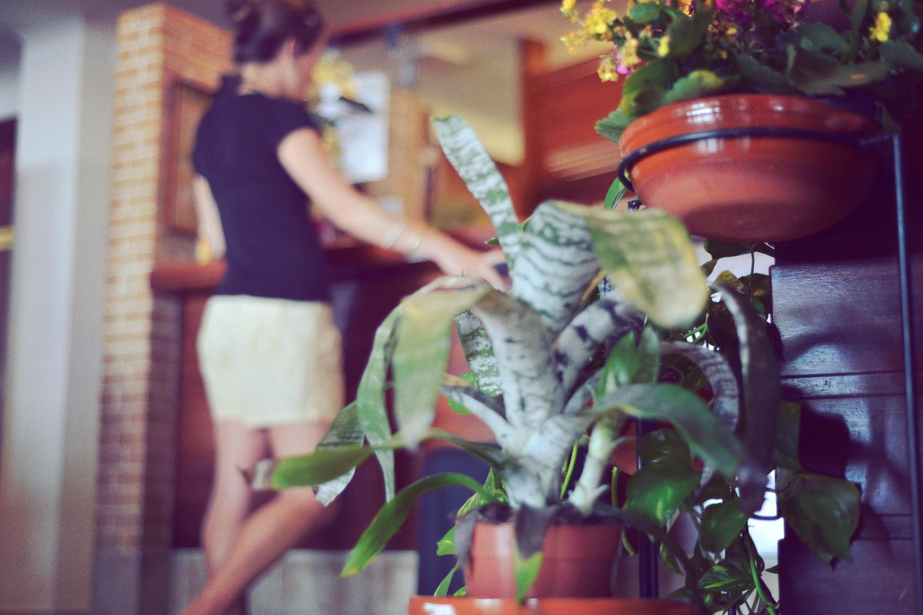 Фото Hotel Bahía