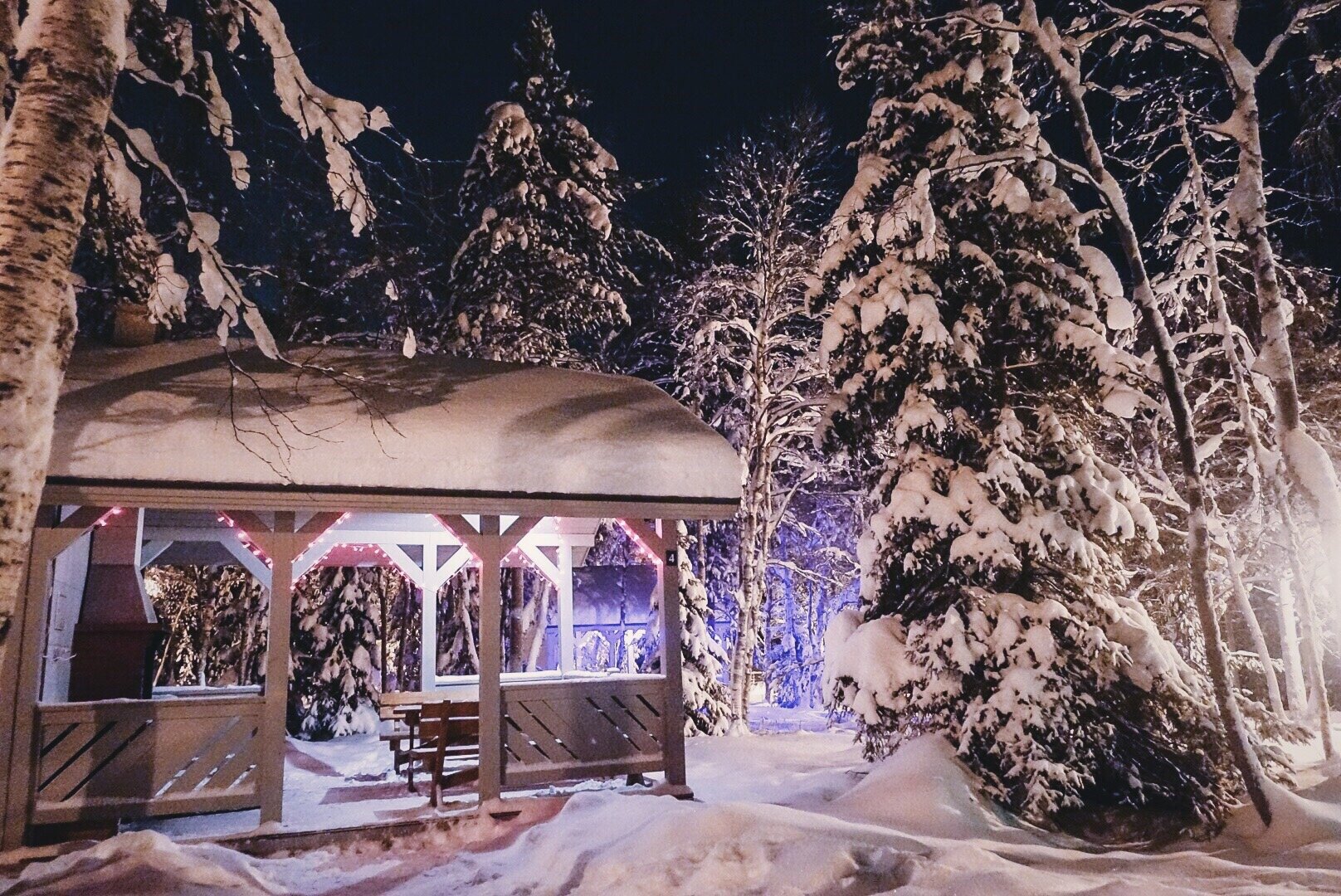 Фото Лесная