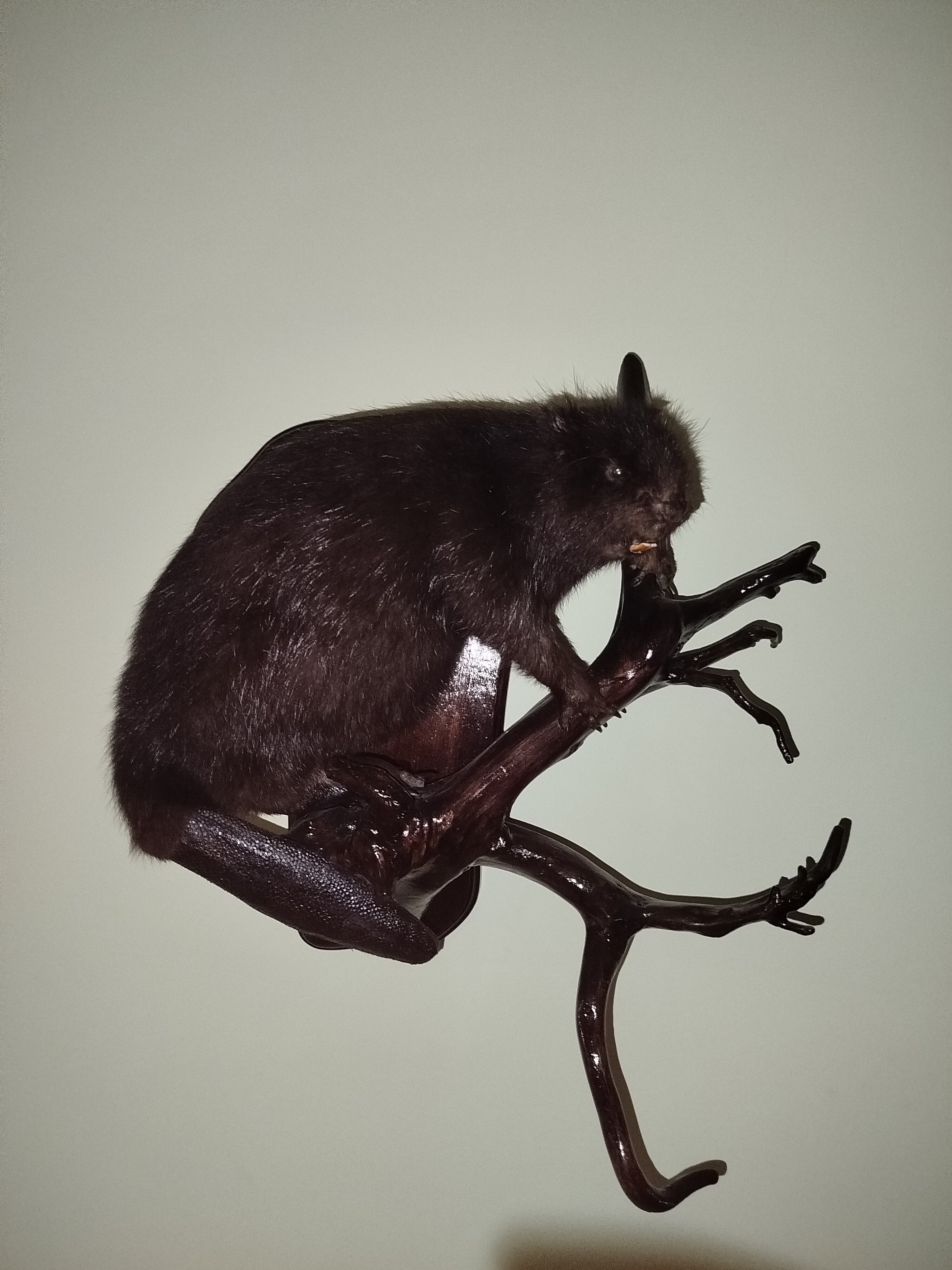 Фото Три охотника