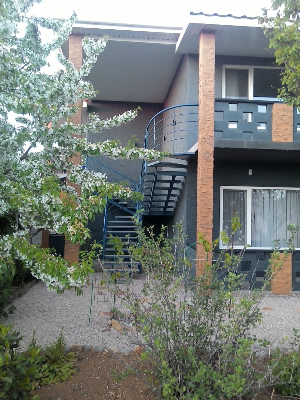 Фото Шардоне