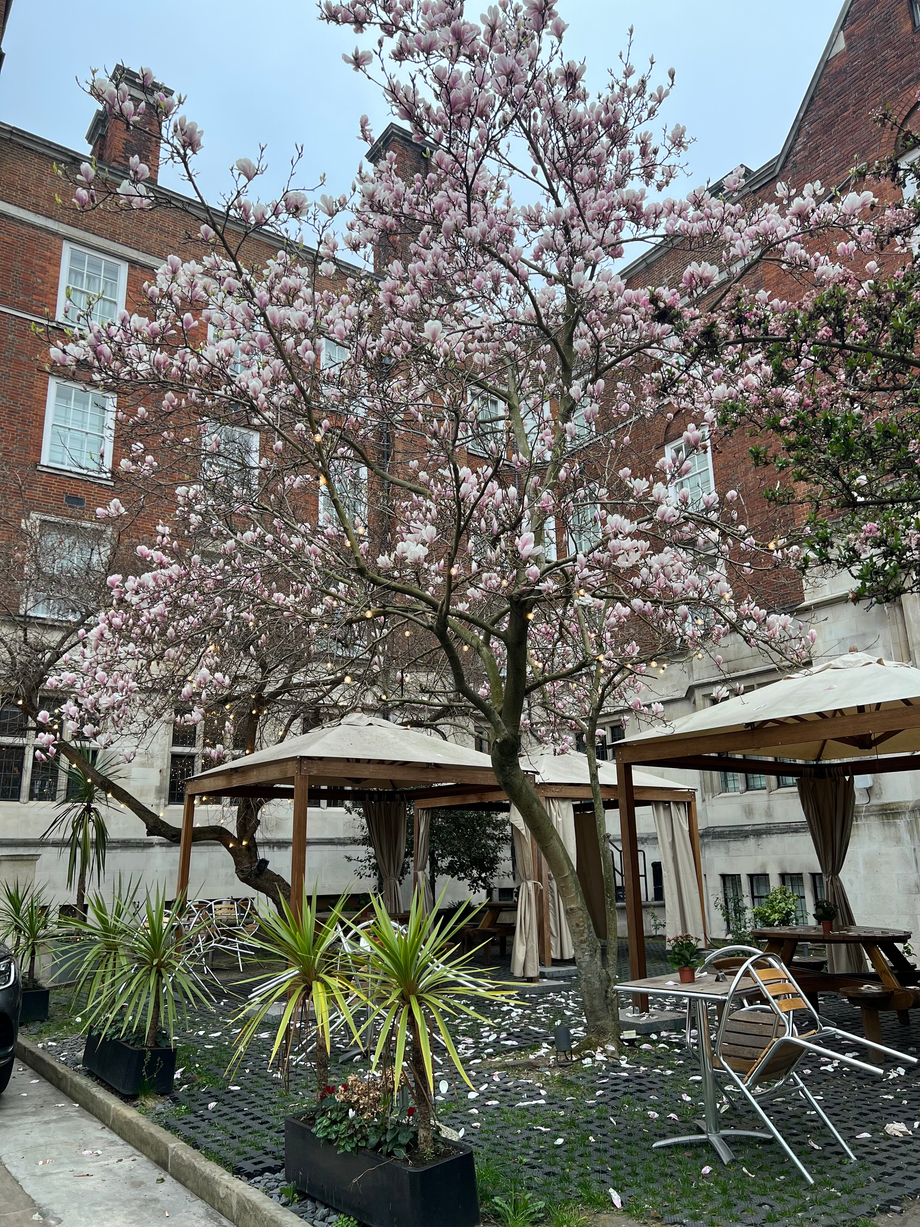 Фото The Wellington