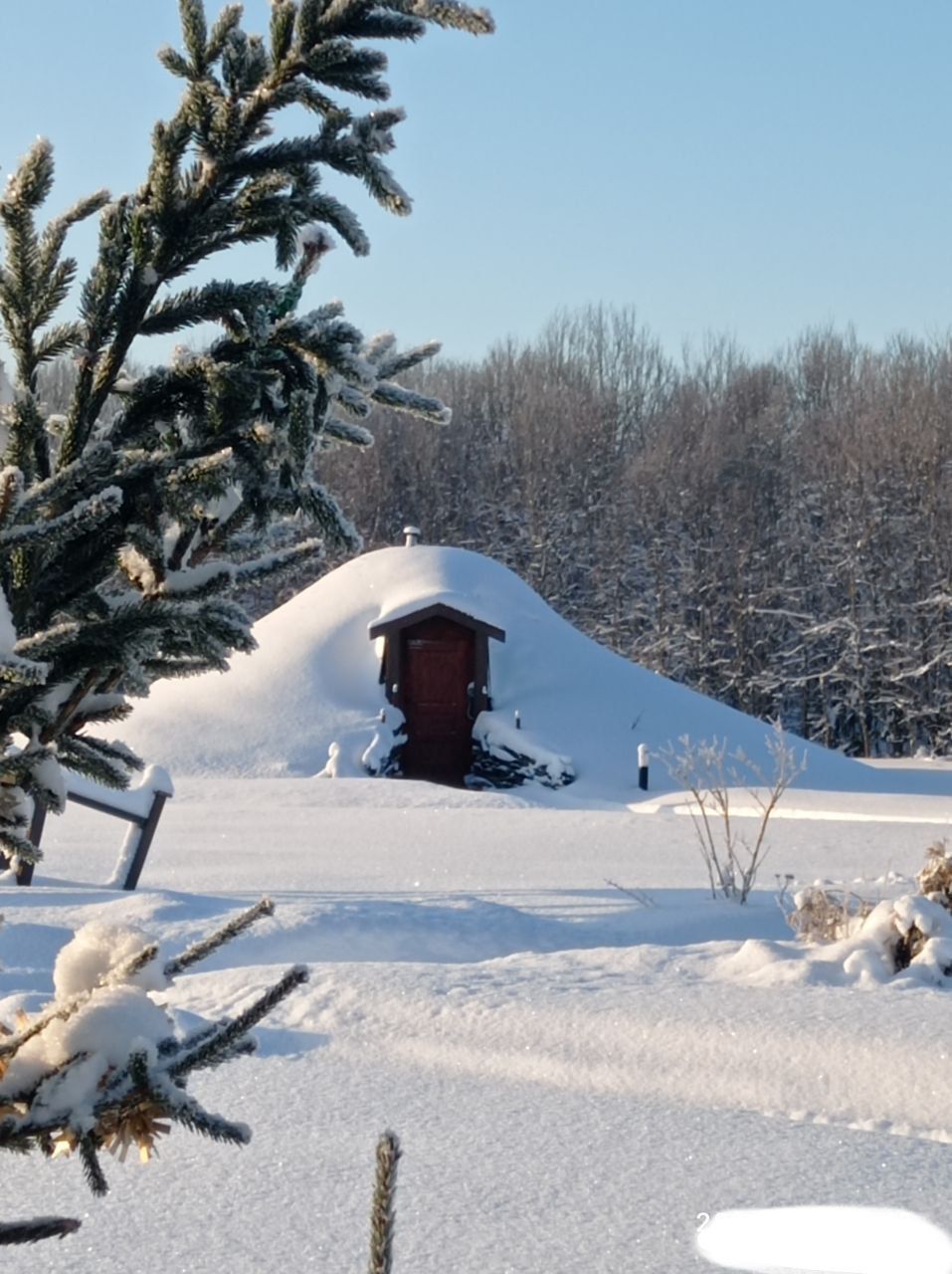 Фото Экоусадьба Зеленые Холмы