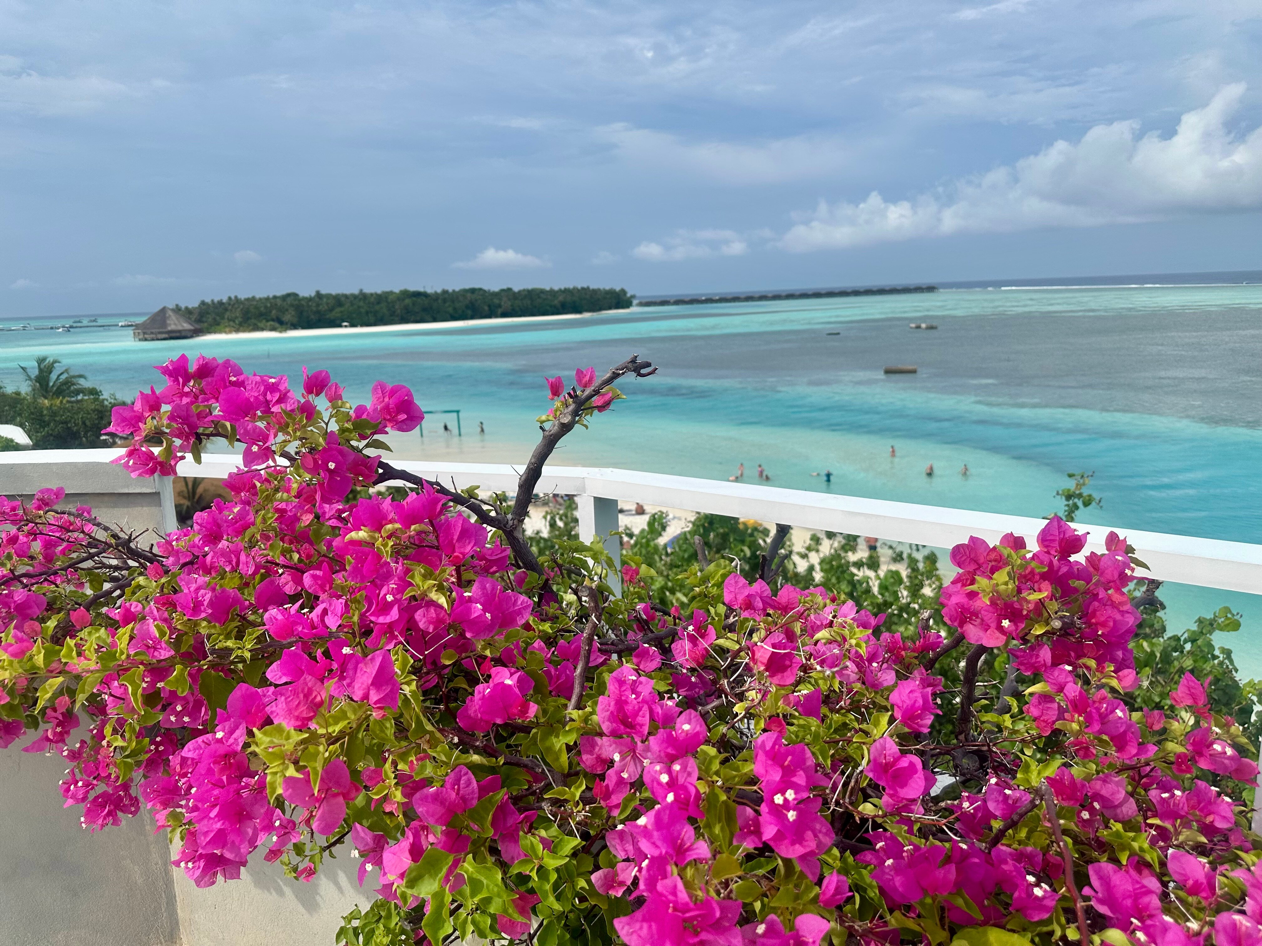 Фото Rashu Hiyaa