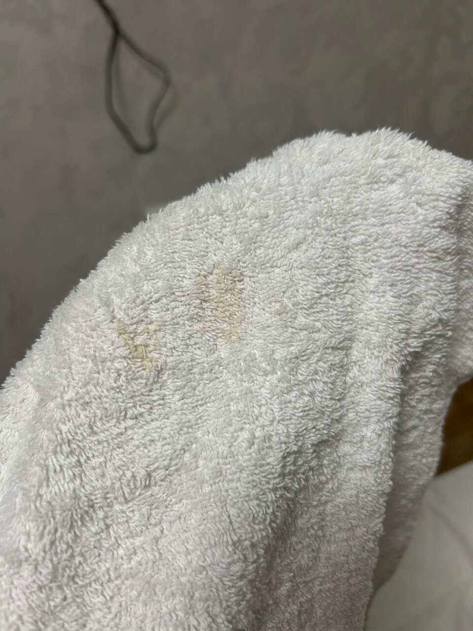 Фото Grand Shosh Hotel