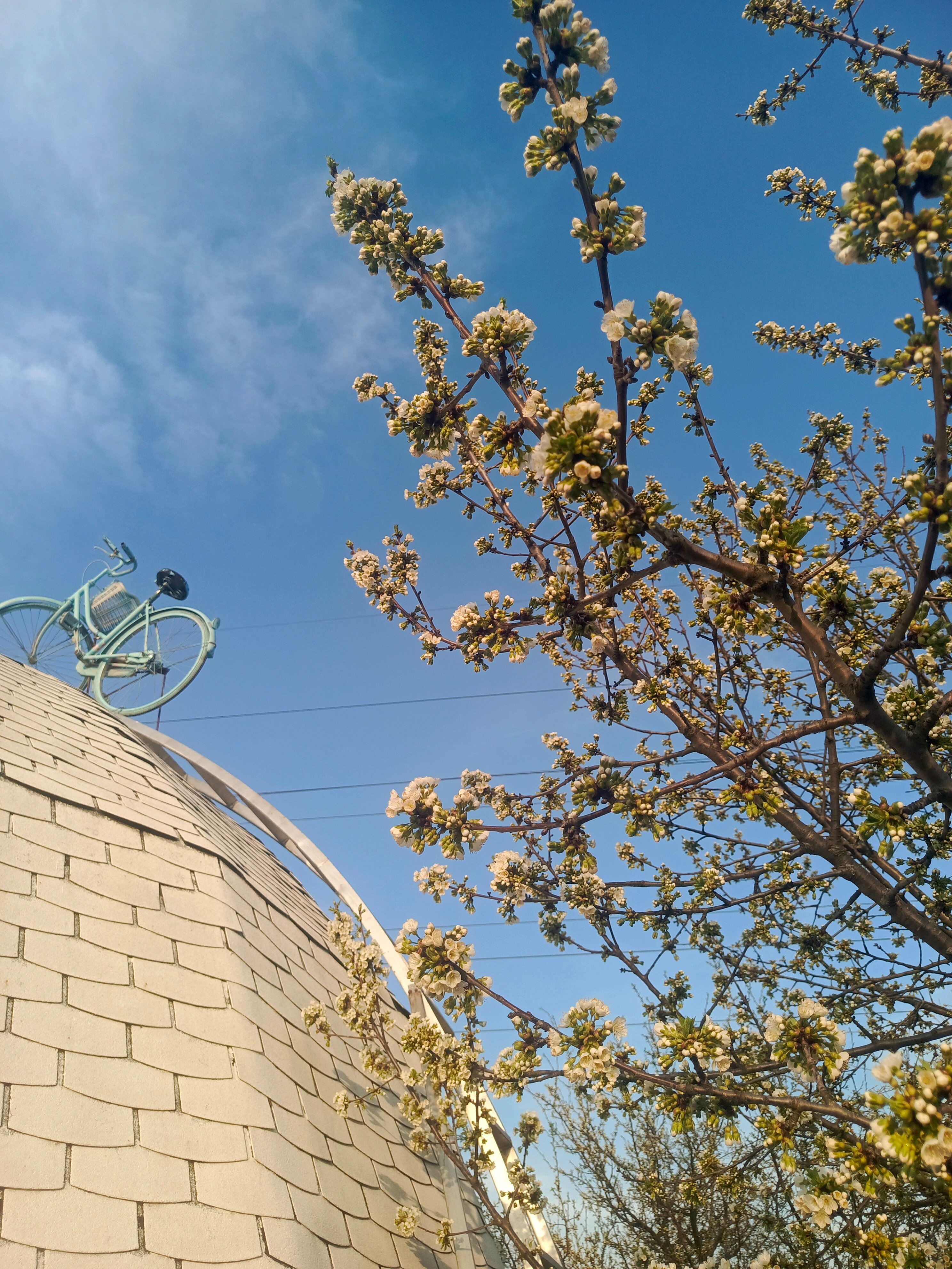 Фото Лисапедово