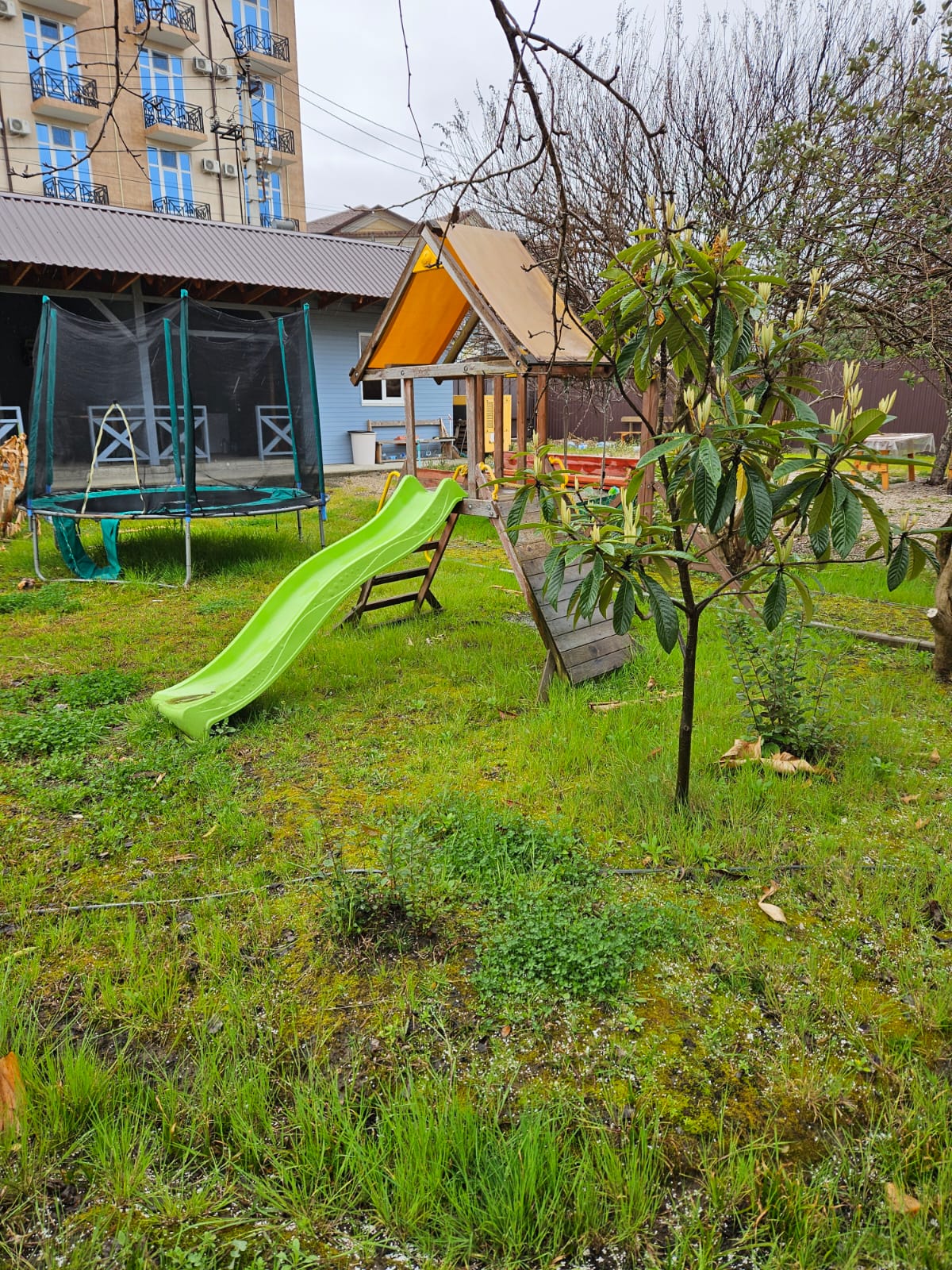 Фото Акварель