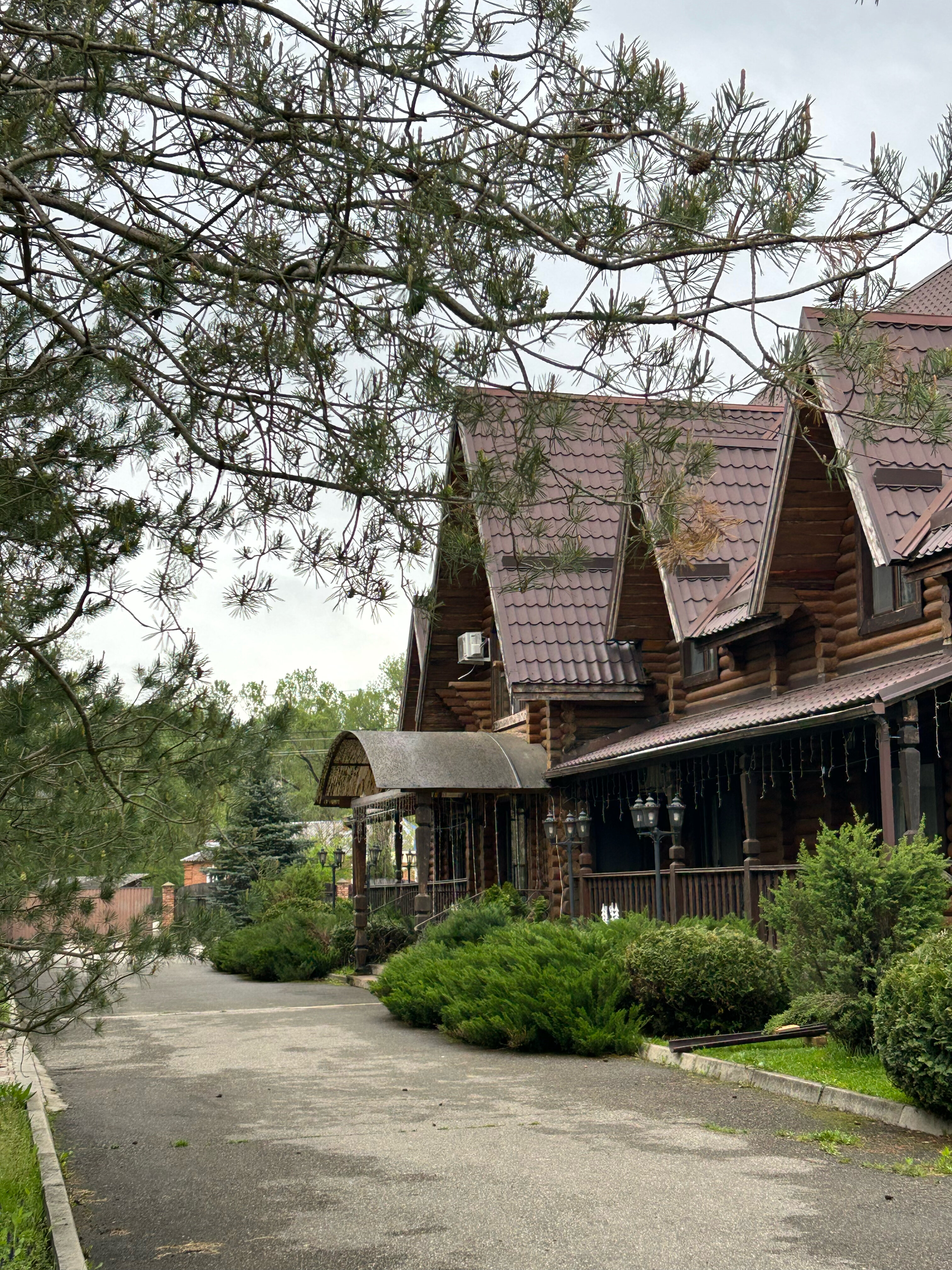 Фото Лукоморье