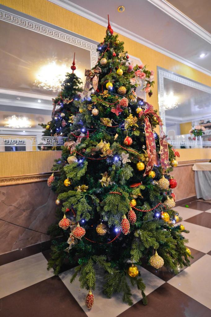 Фото Алексис