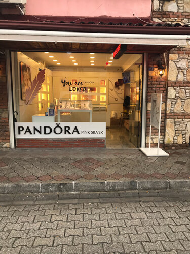 Pandora Pink Silver Fotoğraf 1