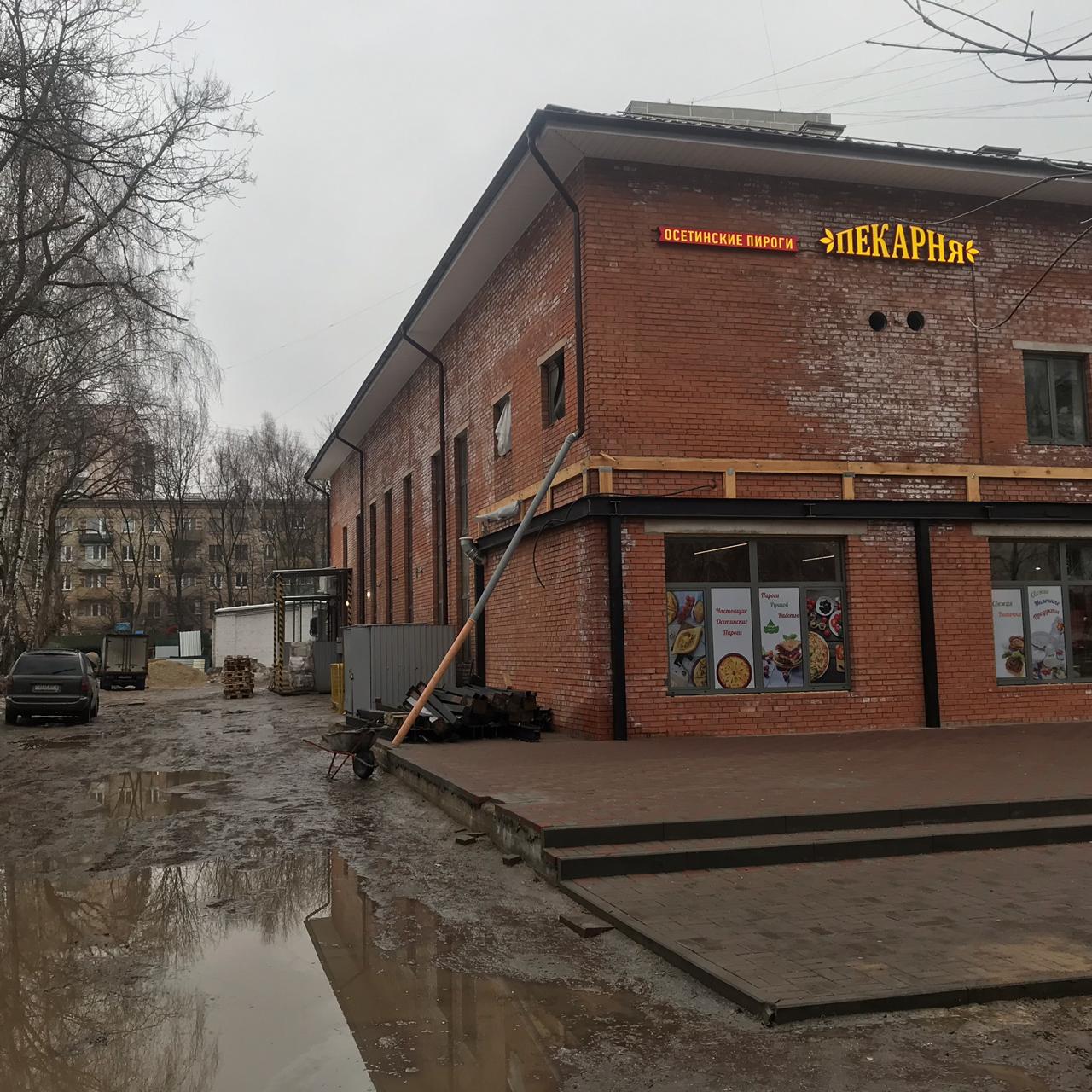 Фото Вежливый Лось на Ботаническом саду