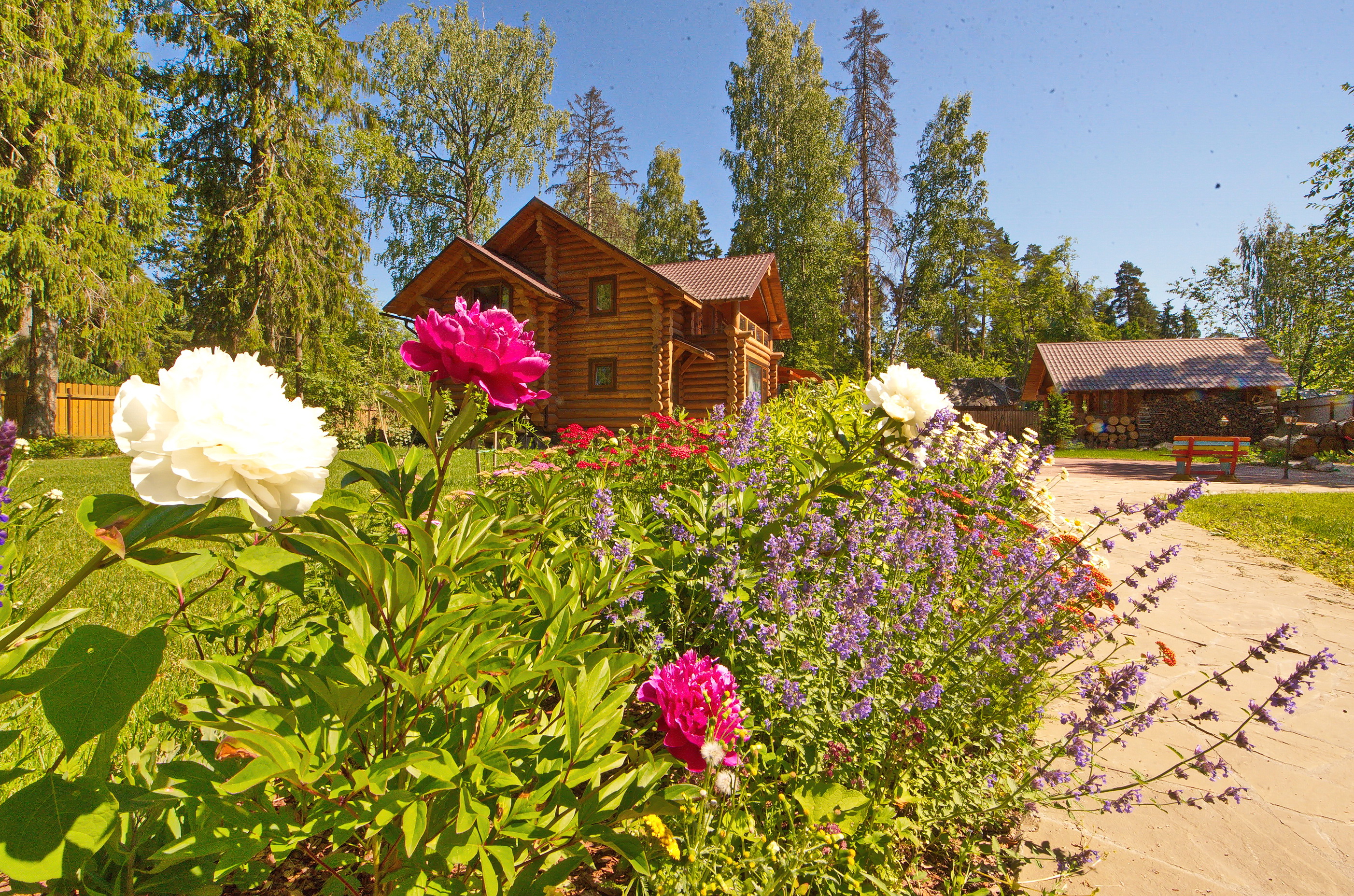 Фото Вырицкий мамонт