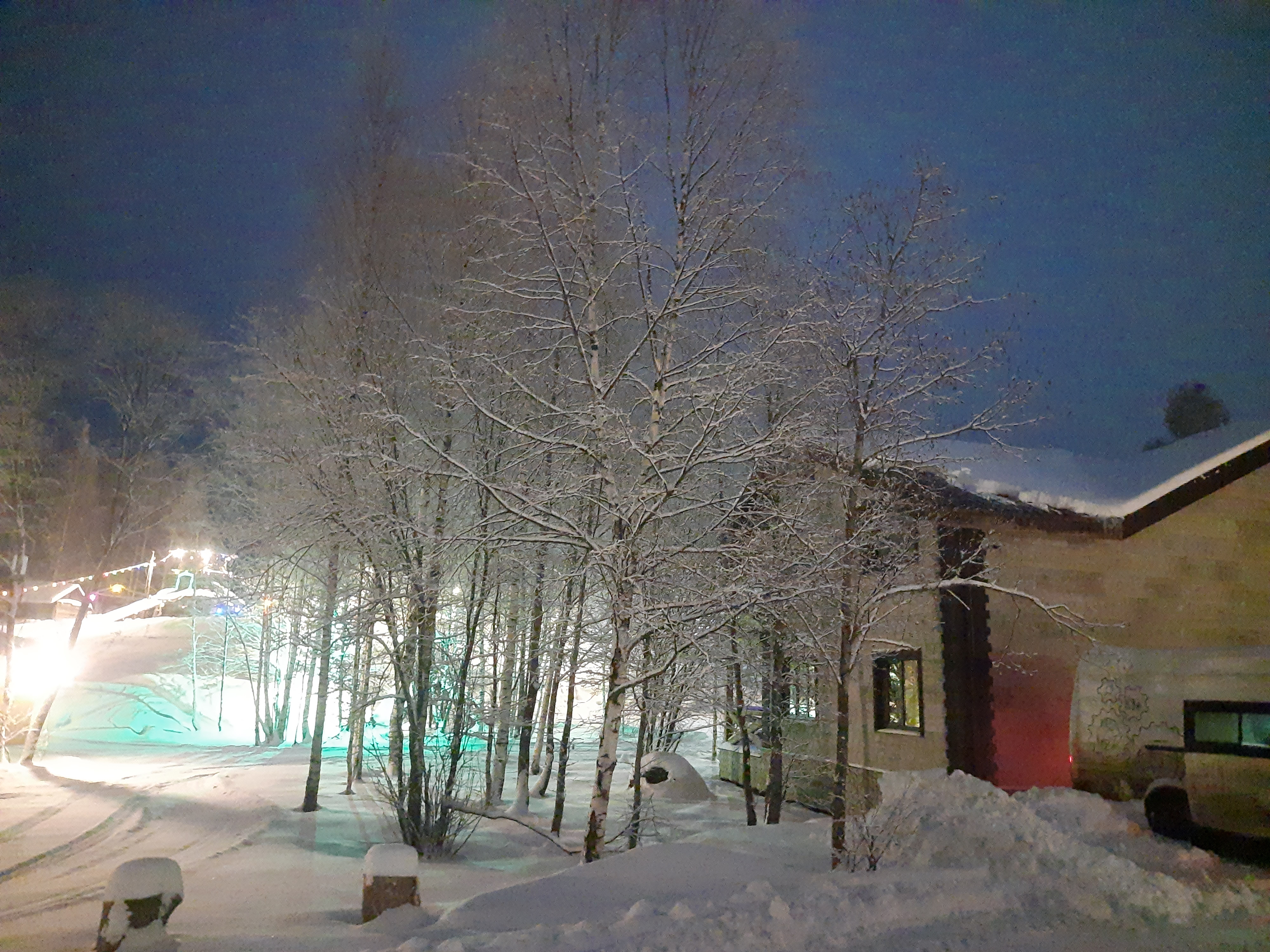 Фото Медвежий Угол