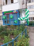 Лингвитания (mikrorayon Yubileyny, Chekists Avenue, 27), foreign language courses