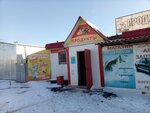 Магазин продуктов (Dorozhnaya ulitsa, 23), grocery