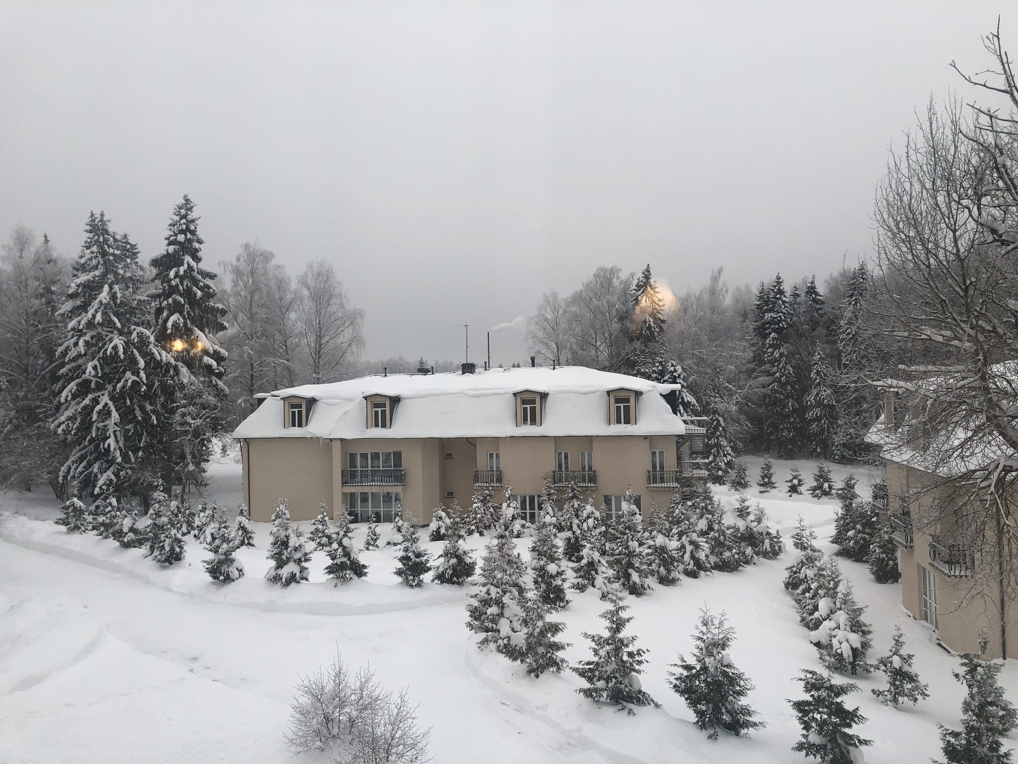 Фото Лафер Ренессанс