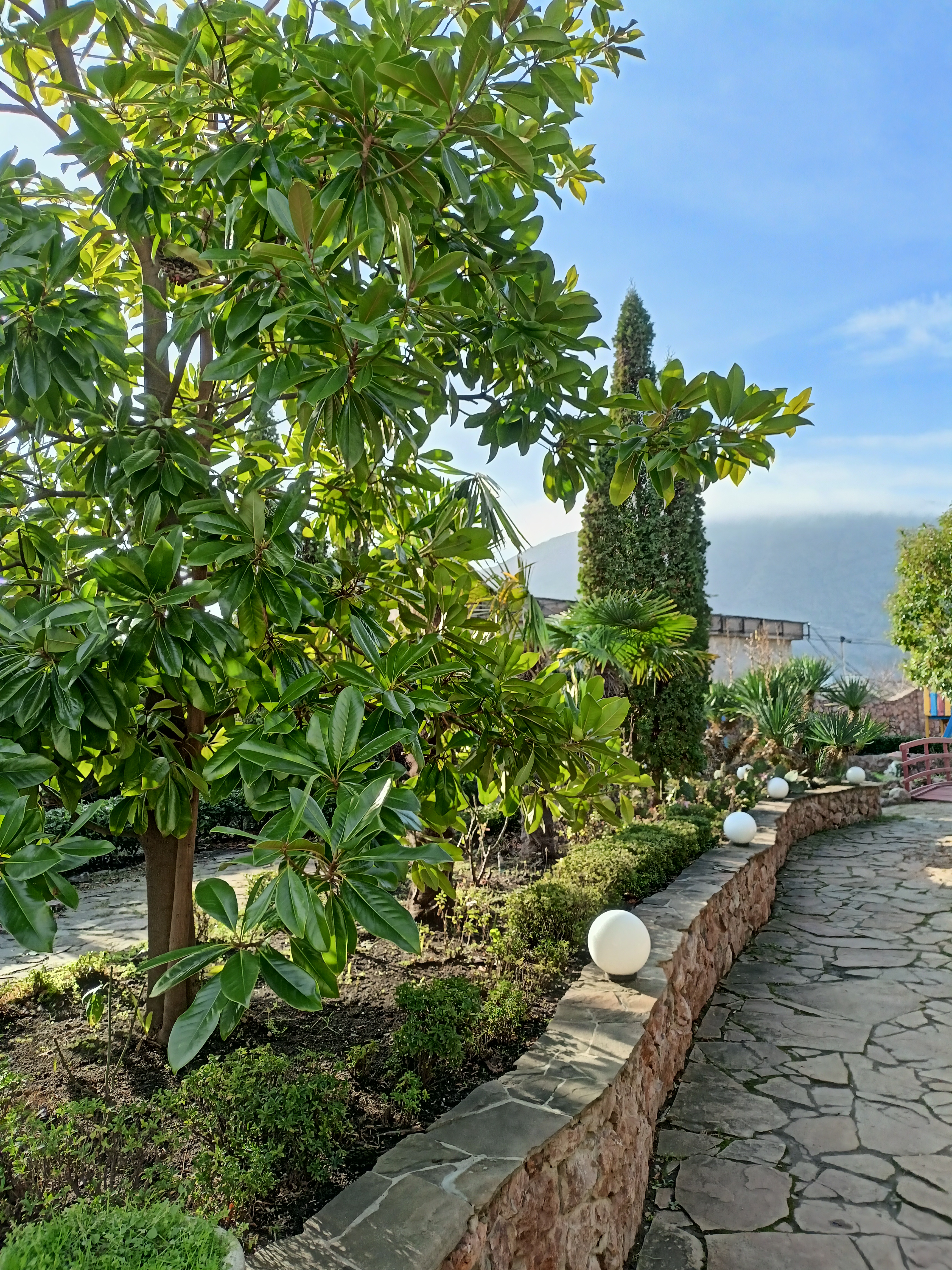 Фото Маджестик