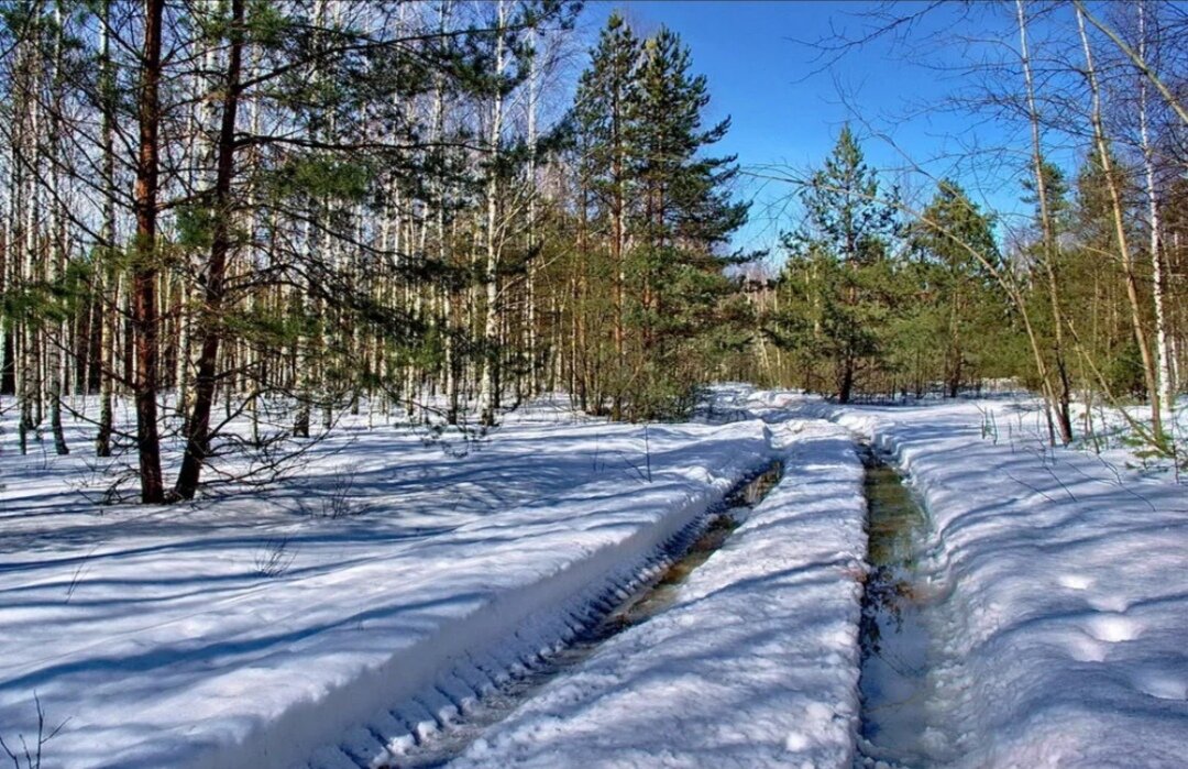 Фото Четыре Сезона