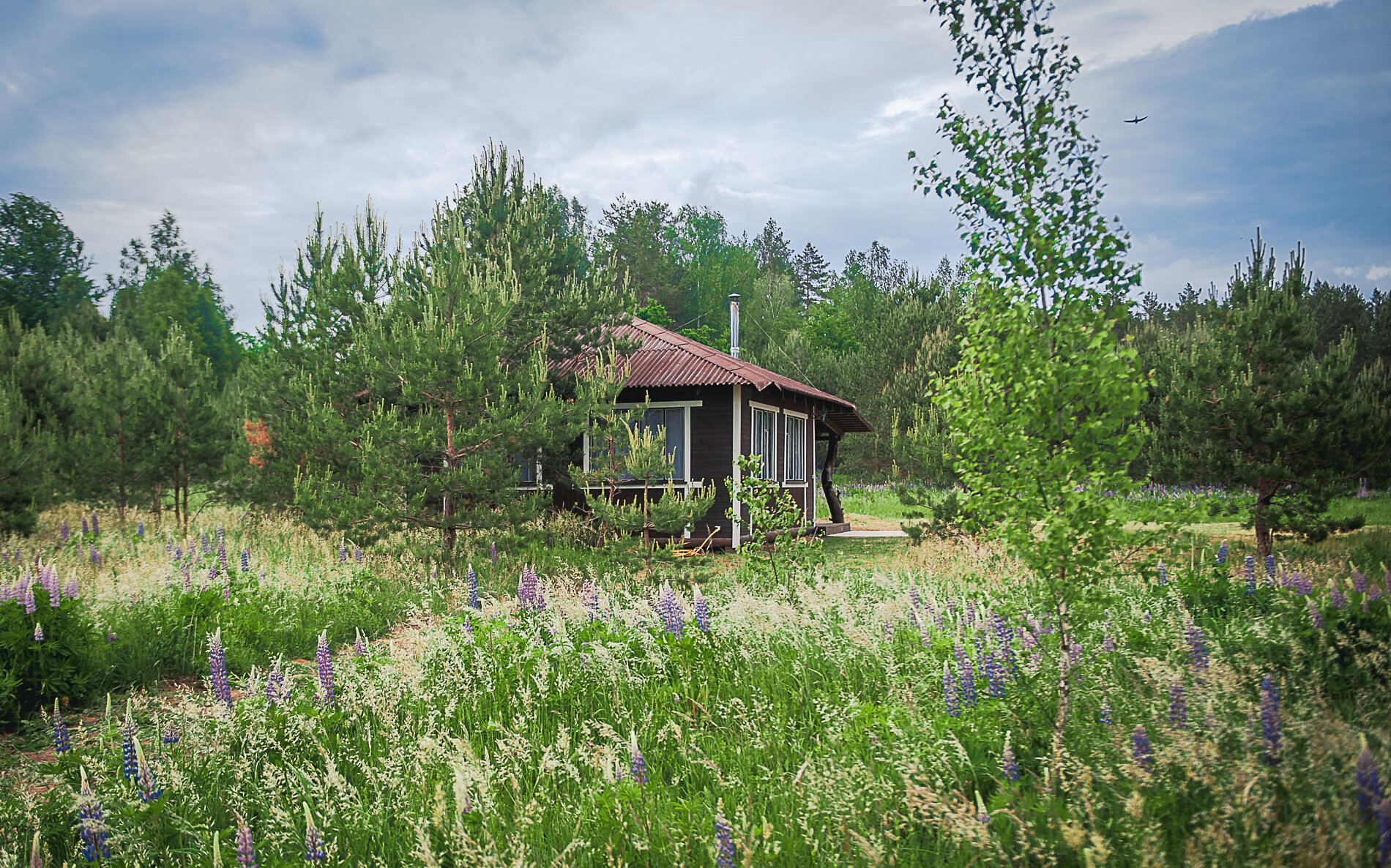 Фото Домик Фермера