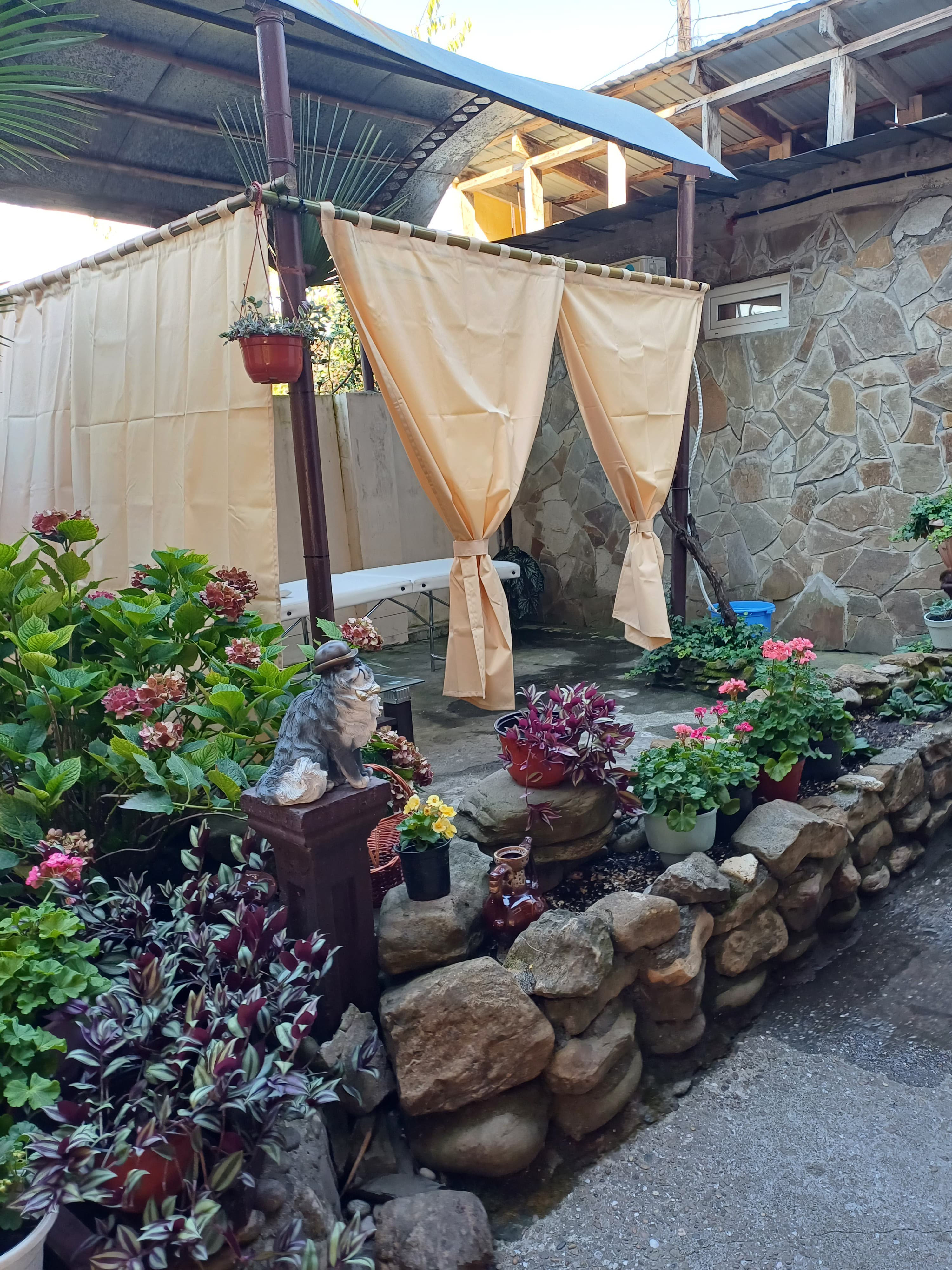 Фото Бамбуковая Роща