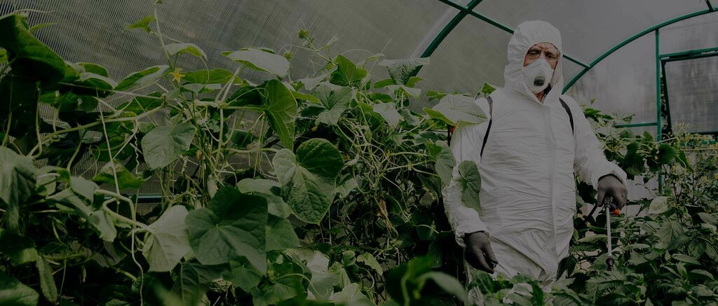 Disinfection, disinsection, deratization Agri Zone Trading, Dubai, photo