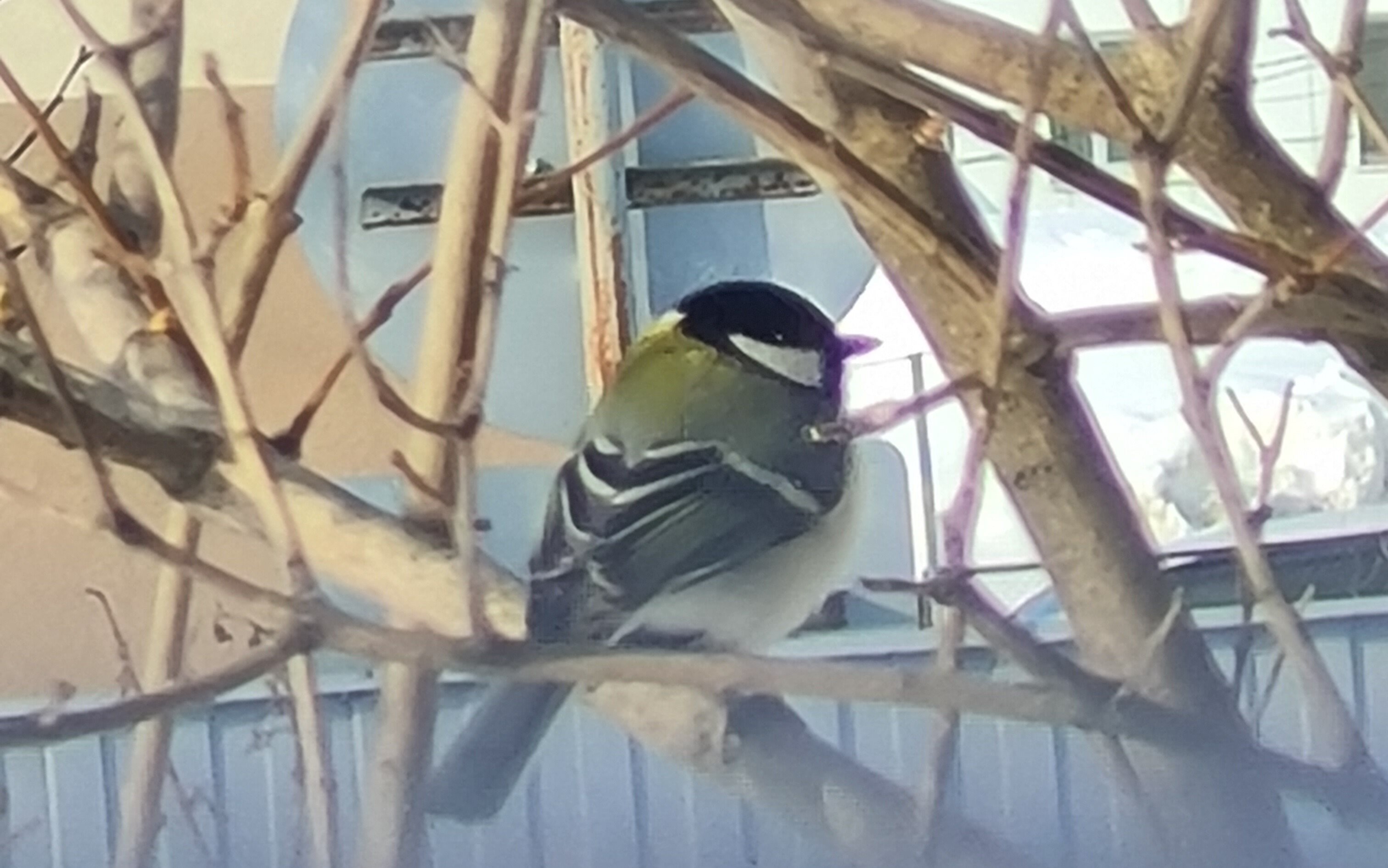 Фото Хостел123