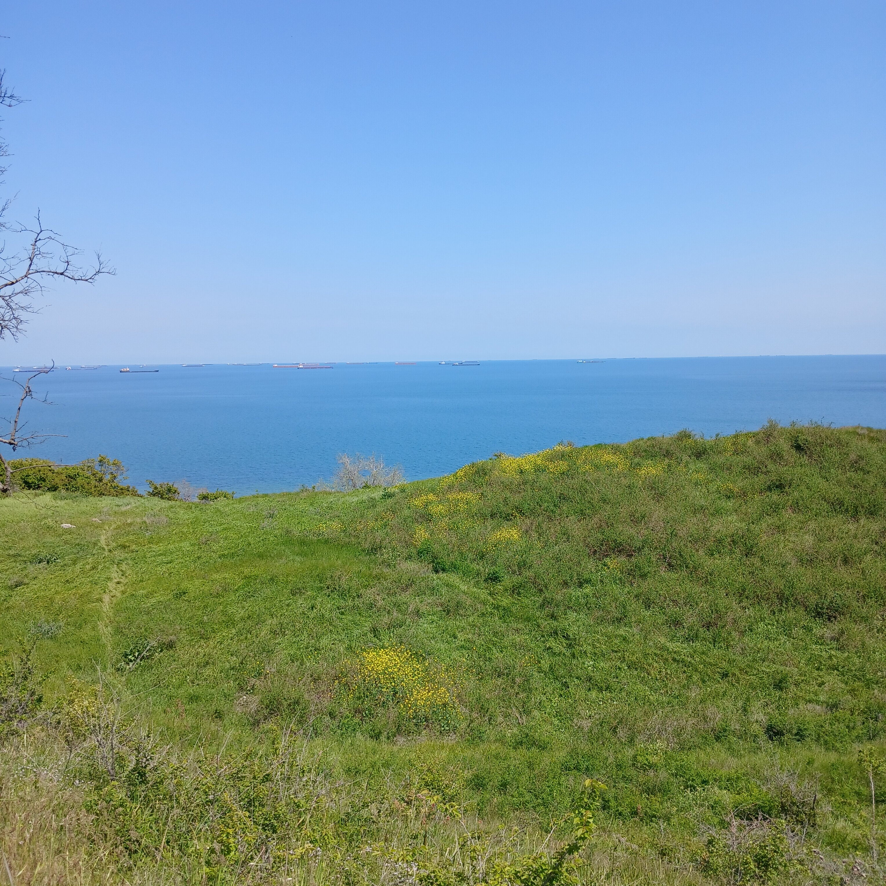 Фото Порфмий