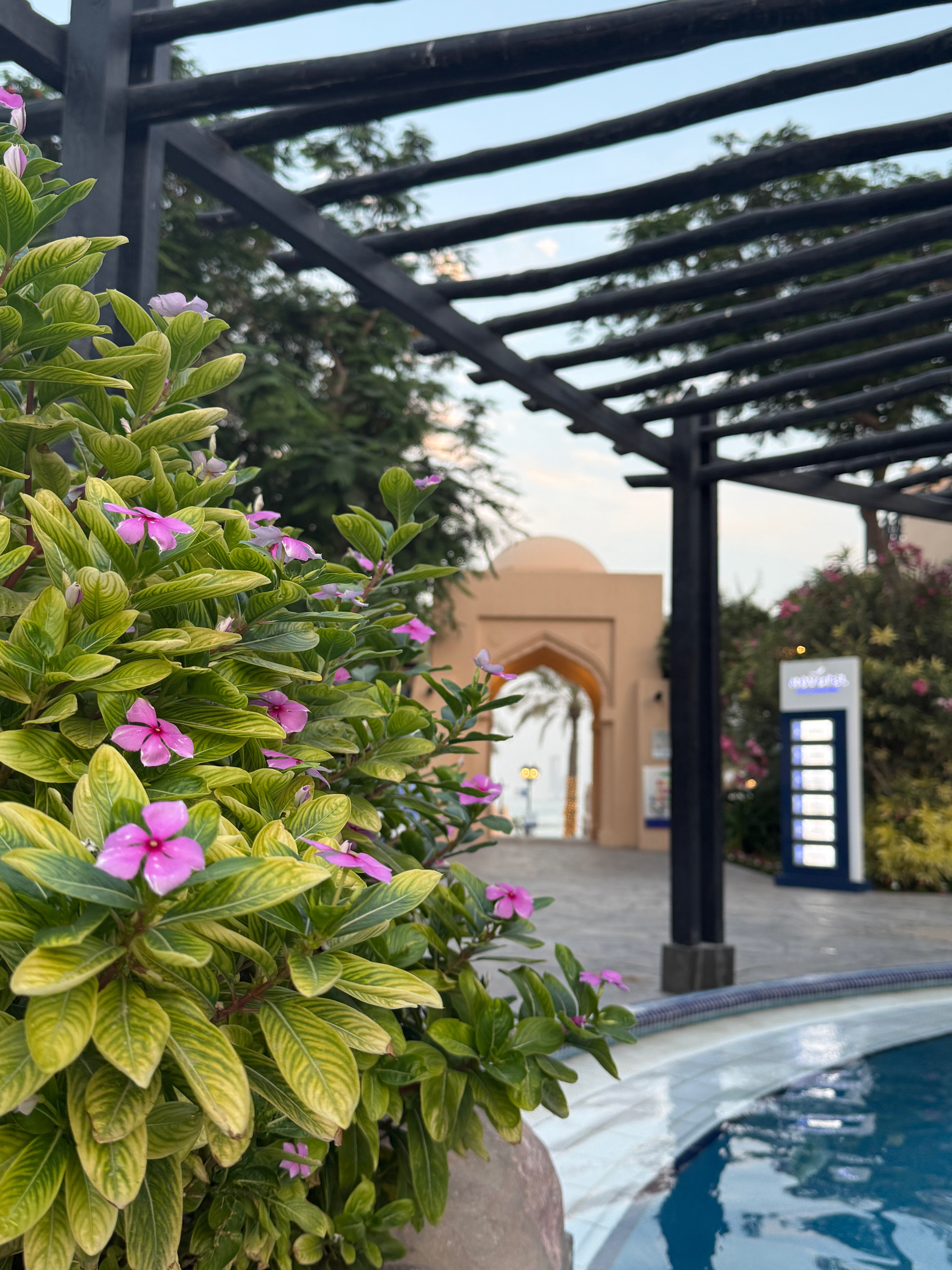 Фото Novotel Bahrain Al Dana Resort