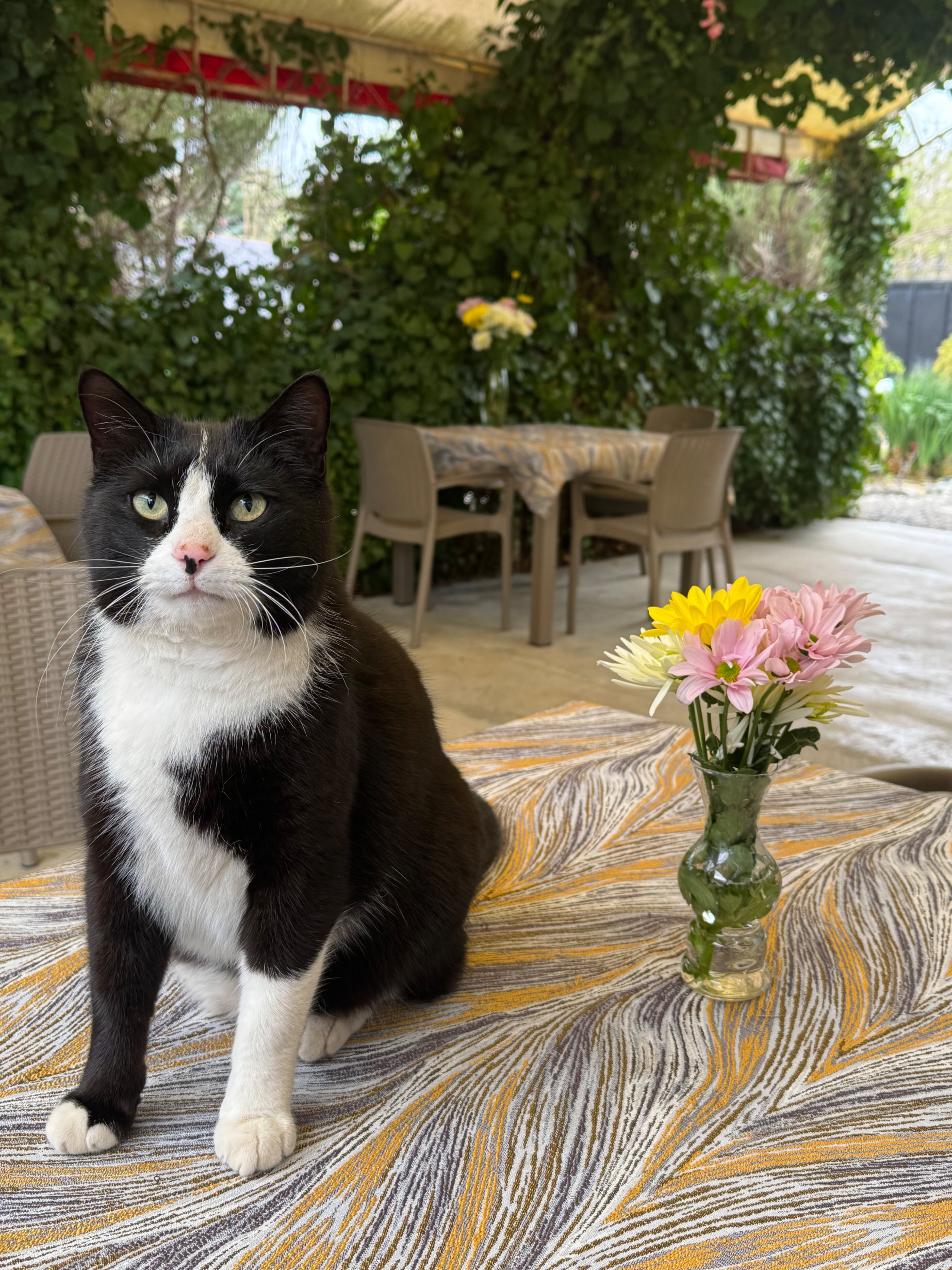 Фото Манака