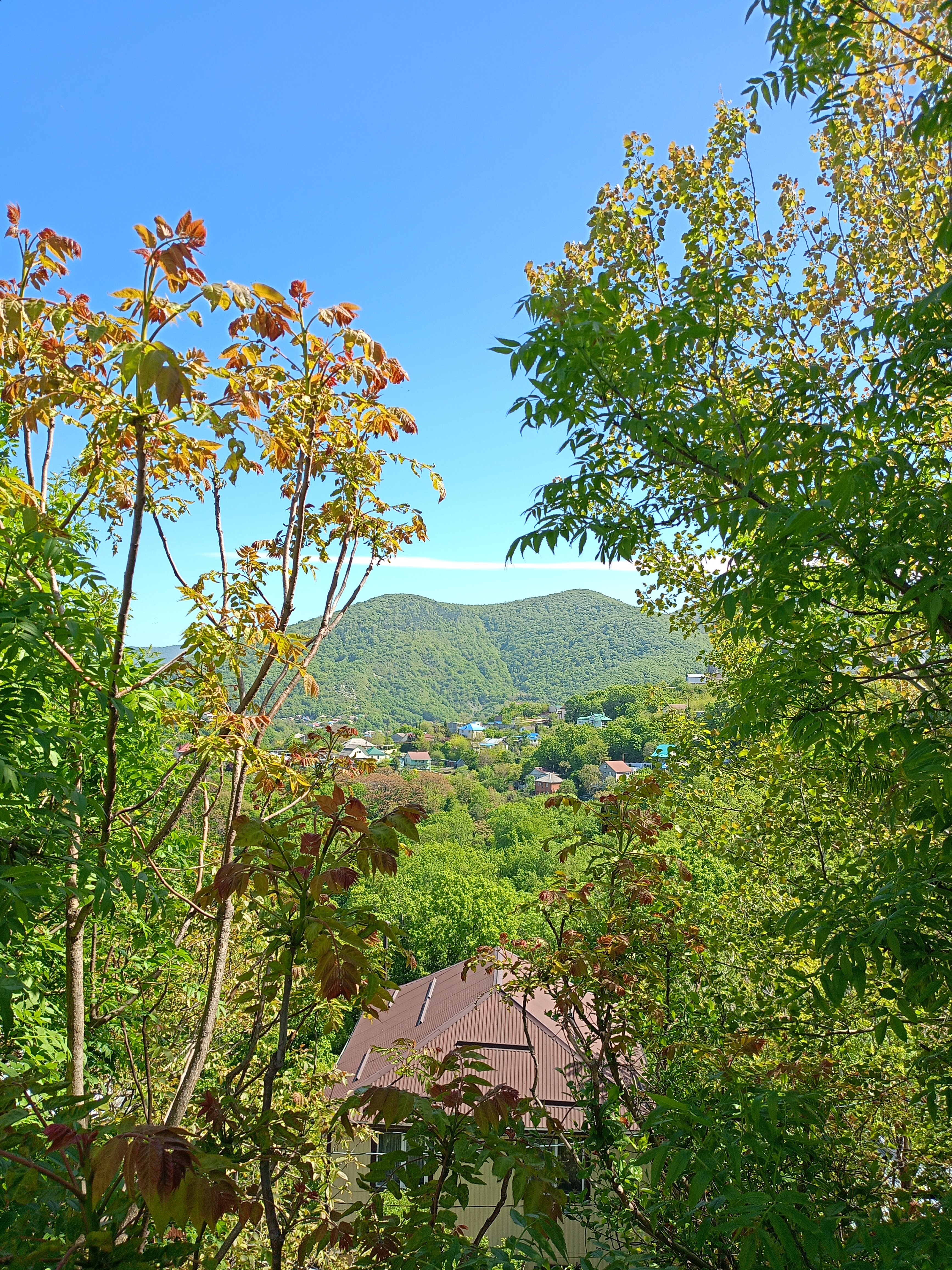 Фото Звездный