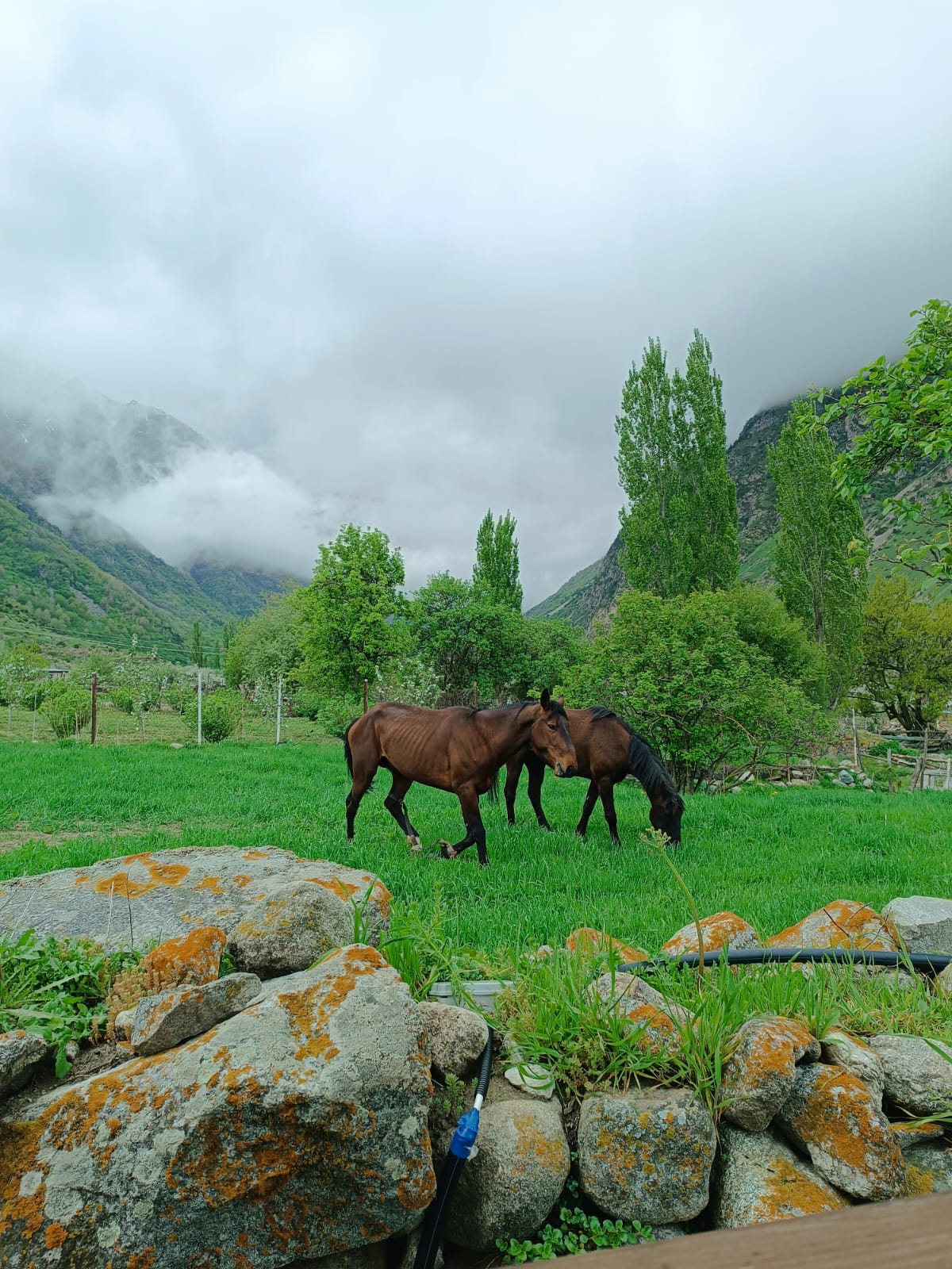 Фото Балкария-Фрэйм