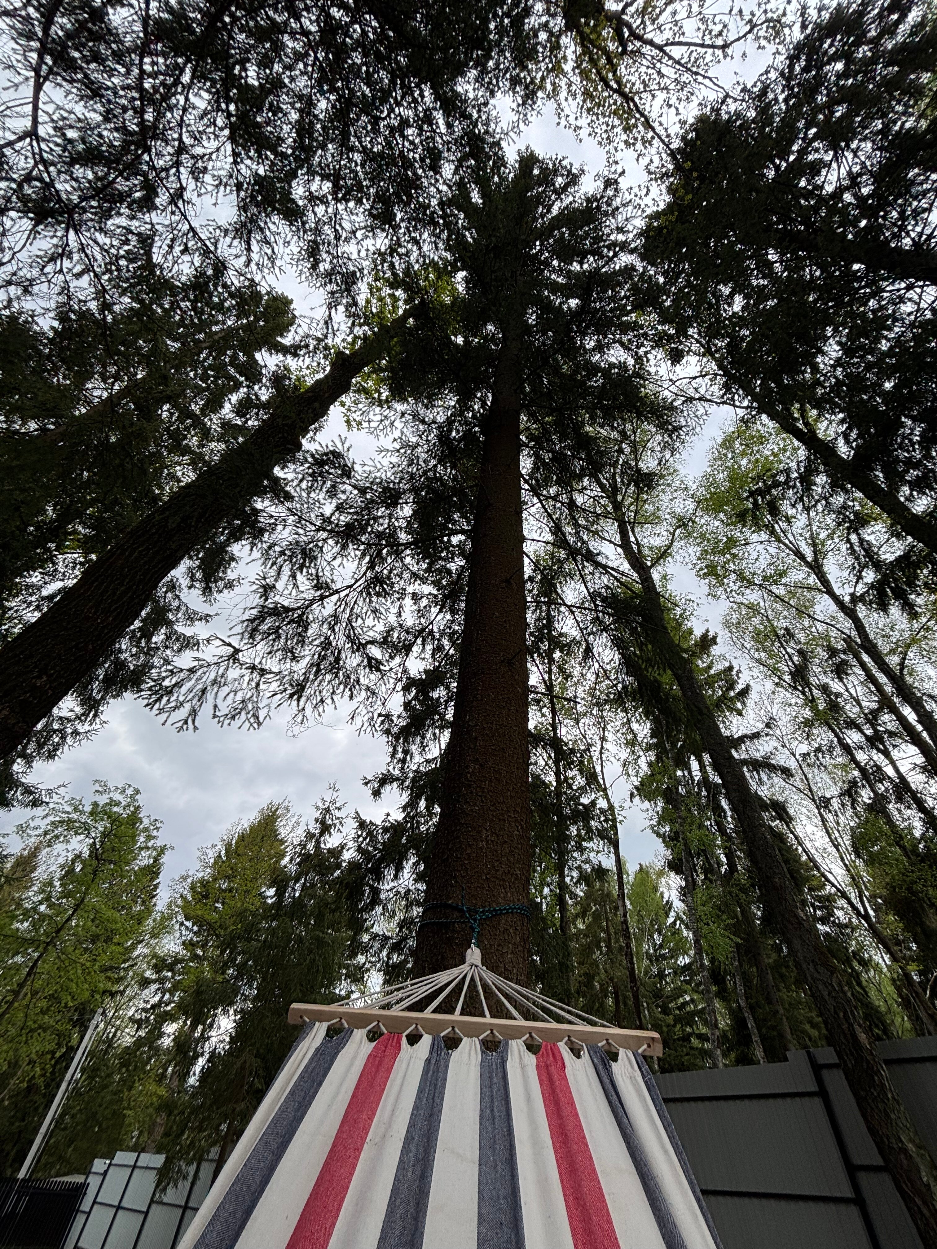 Фото Дом на Смородиновой