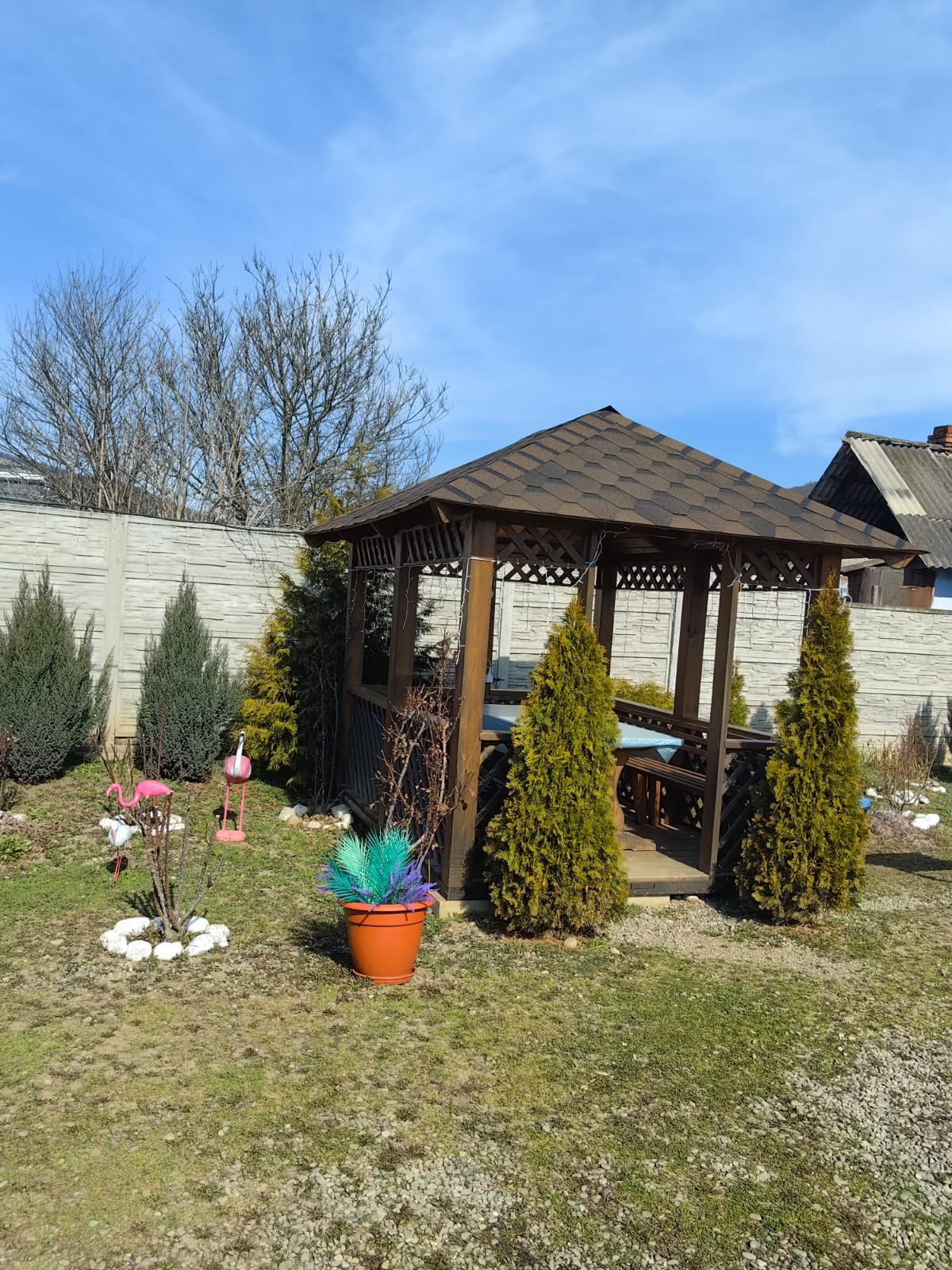 Фото Два Брата