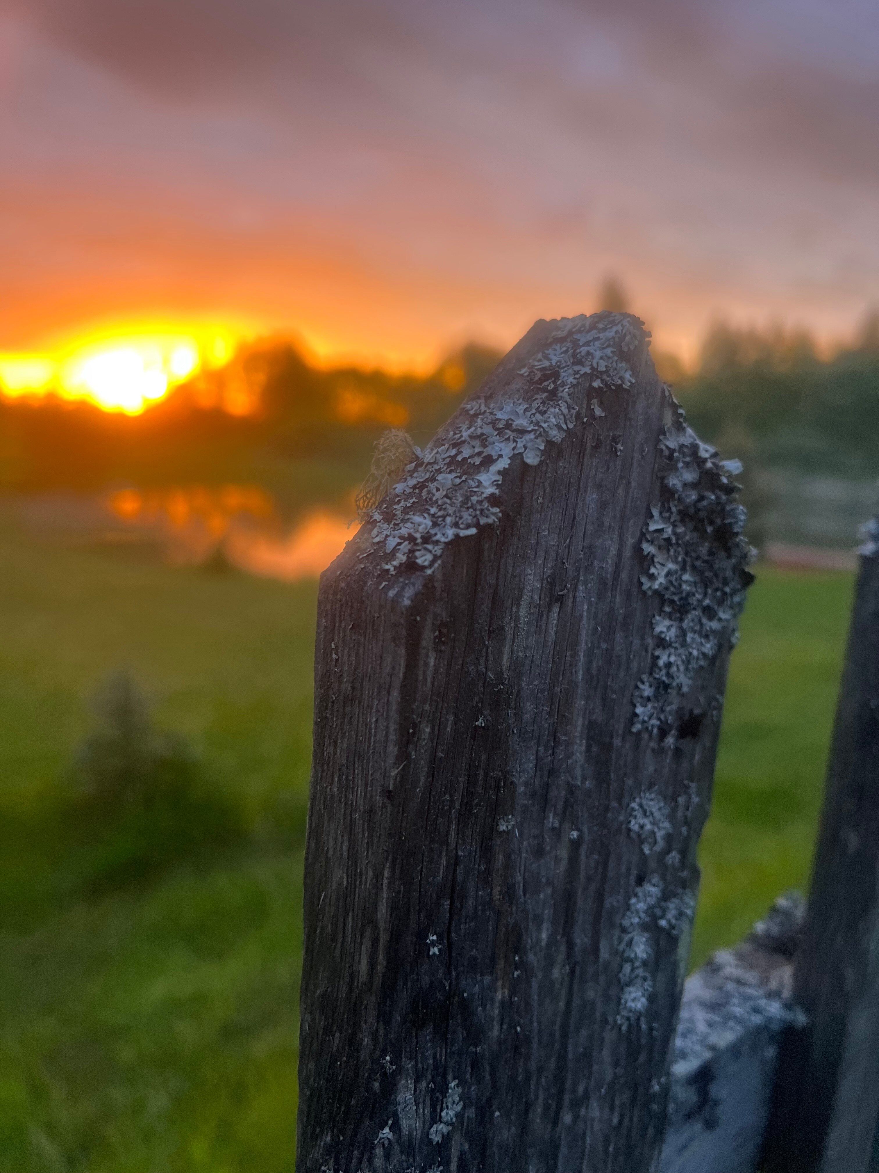 Фото У Лукоморья