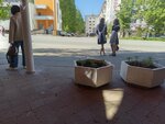 Square named after Tarasov (Udmurtian Republic, Izhevsk, Imeni 50 Let VLKSM Street), public transport stop