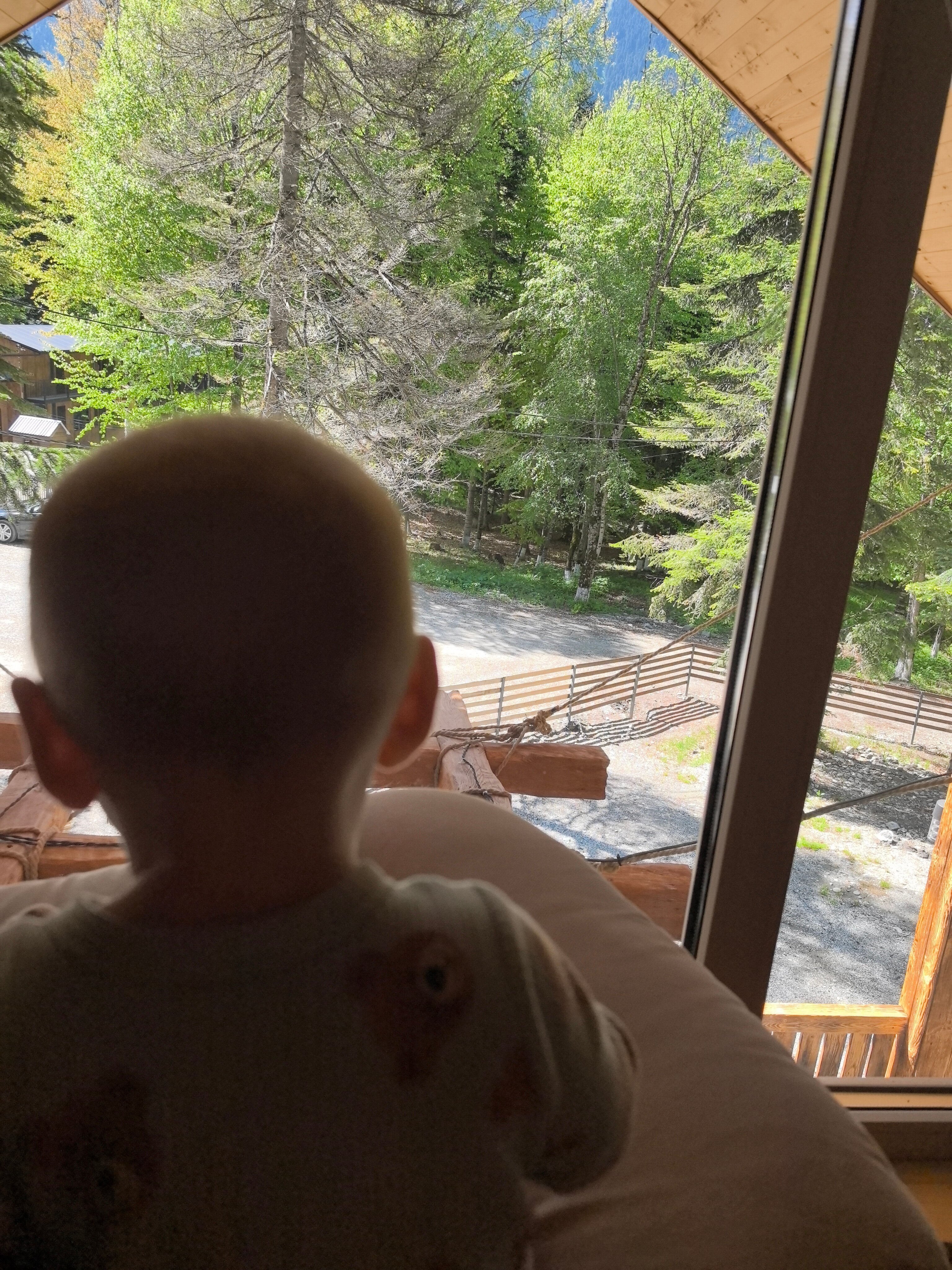 Фото Аргали