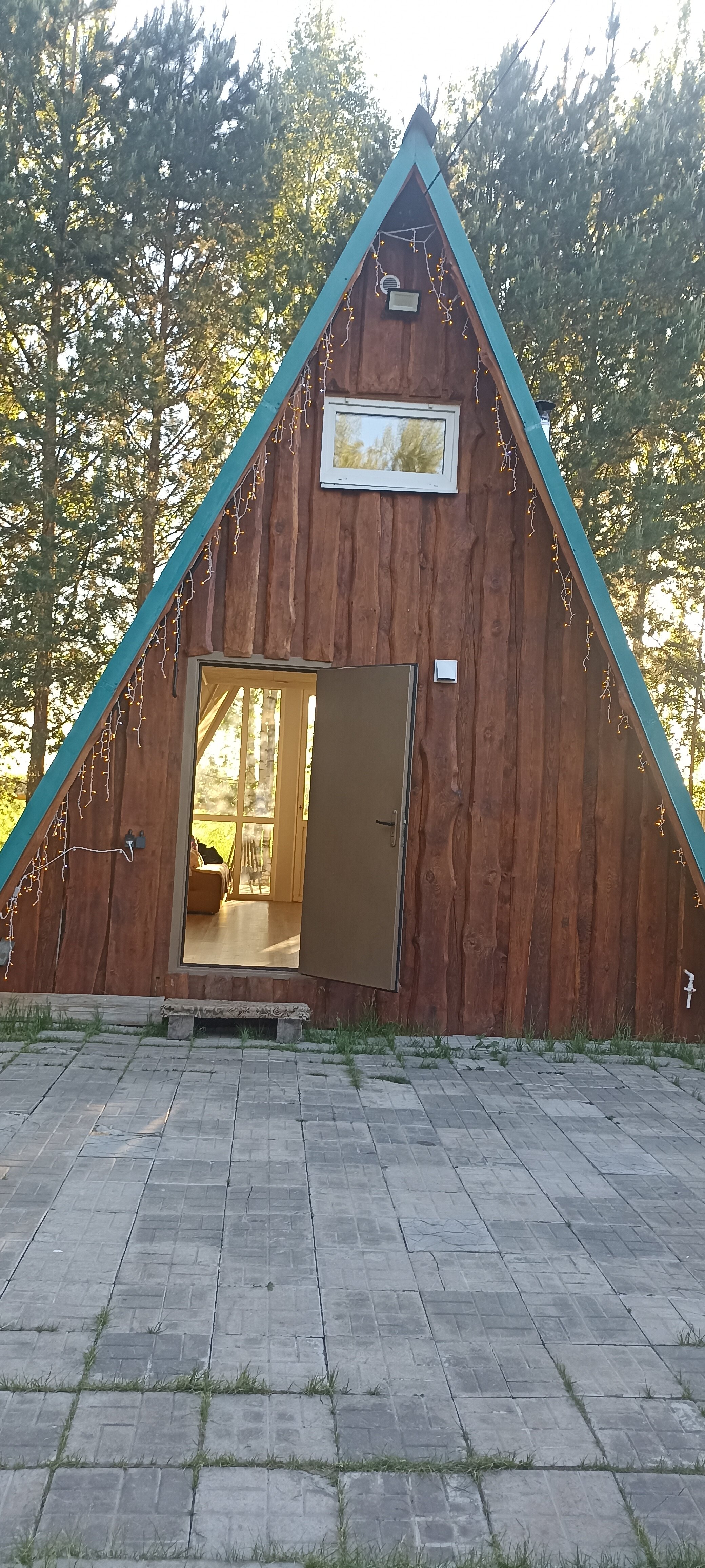 Фото Золотой фазан