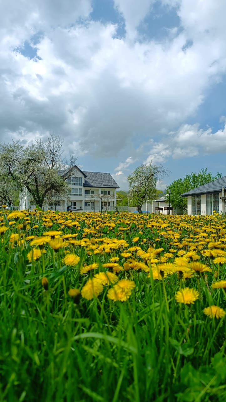 Фото Ореховая роща в Даховской