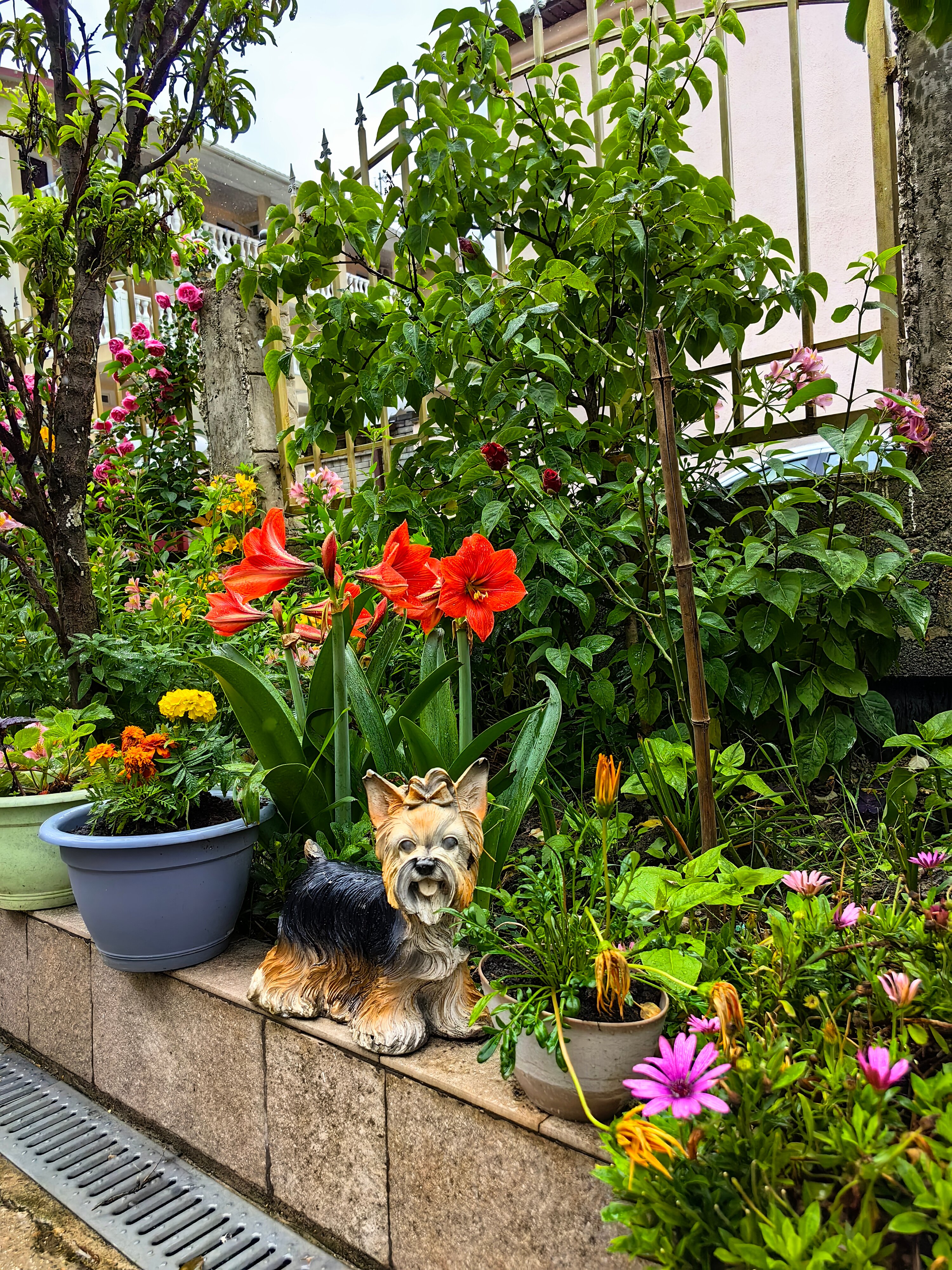 Фото Каскад