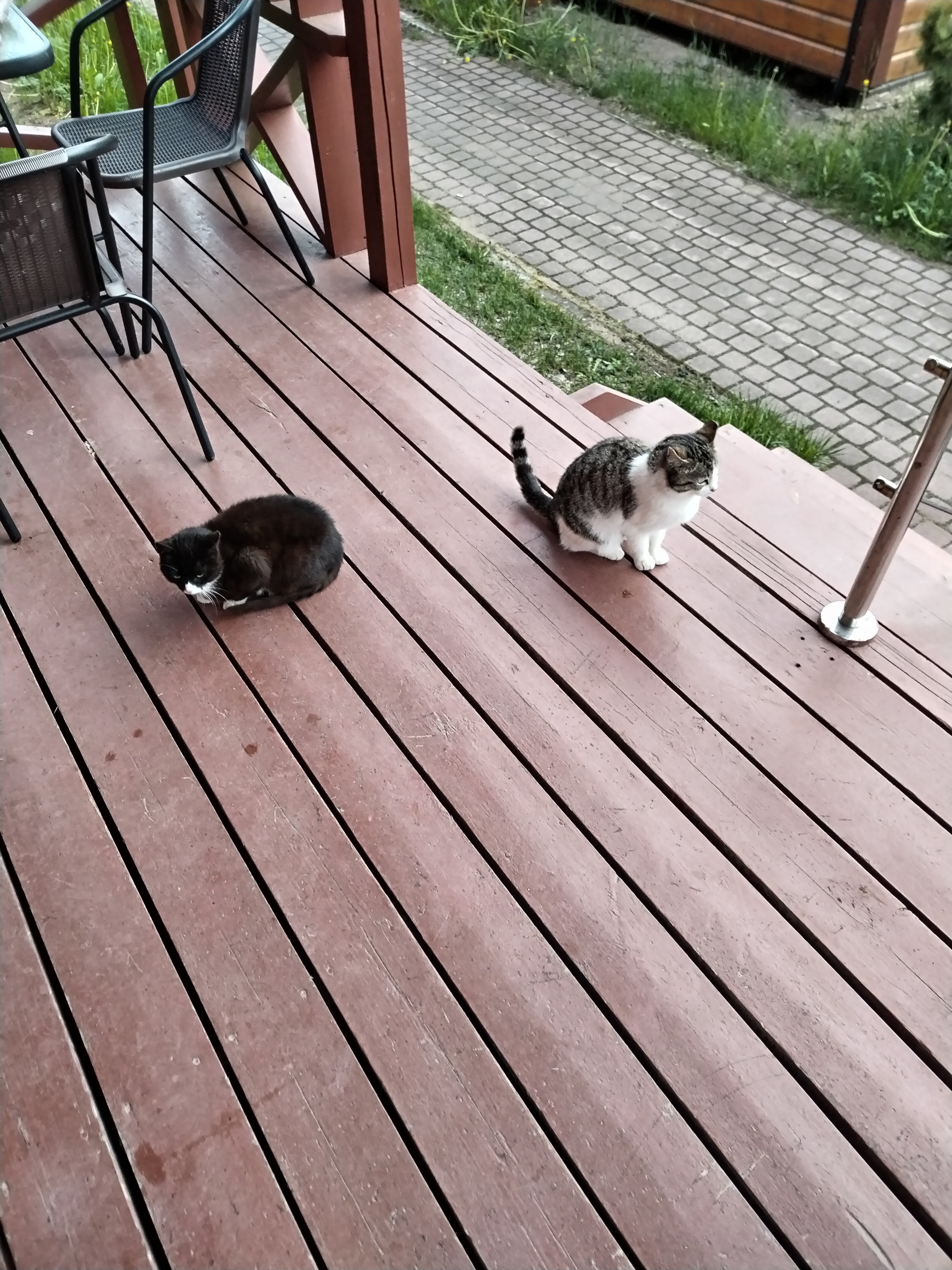 Фото Подборовье