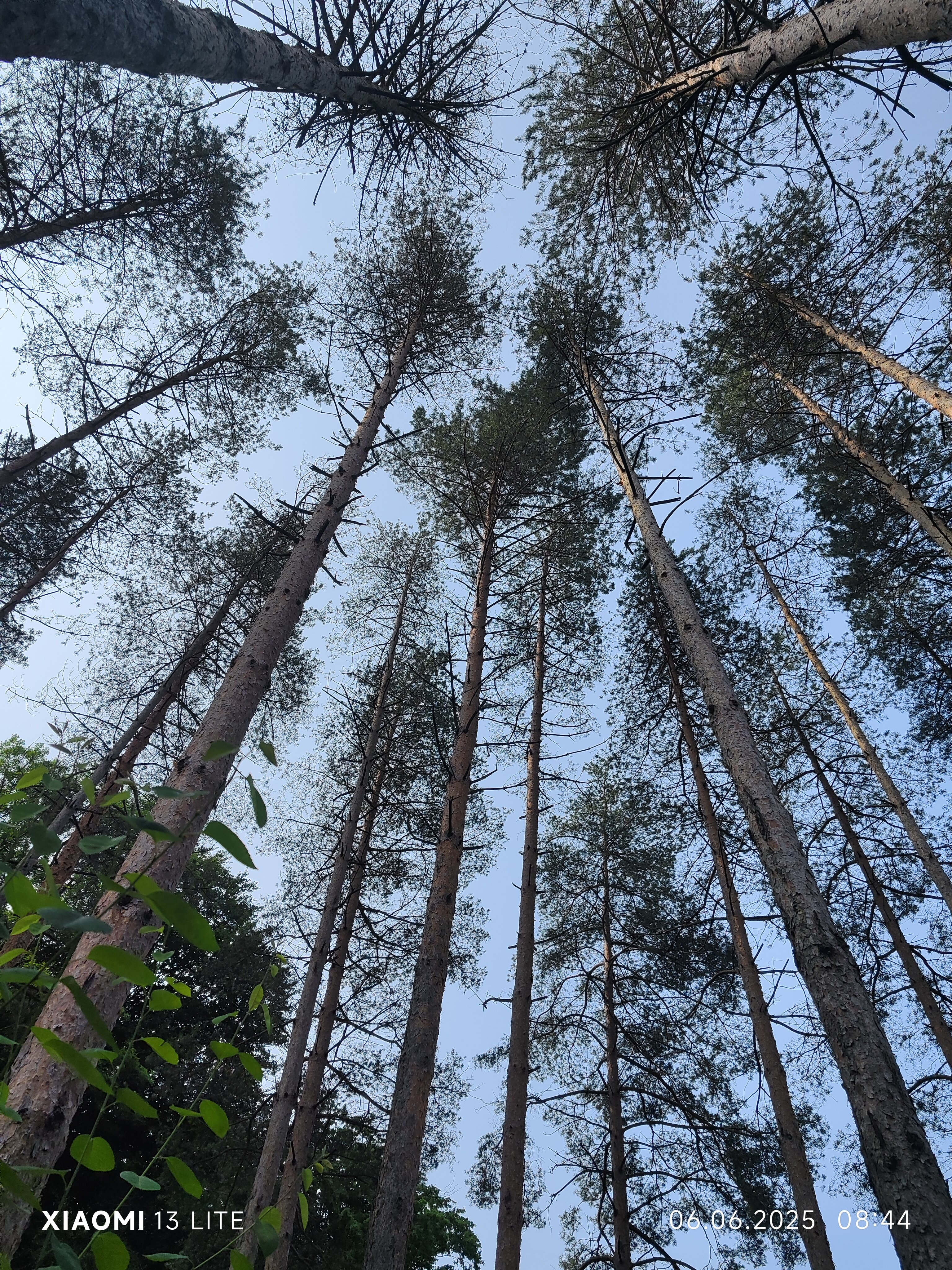 Фото Прохладный