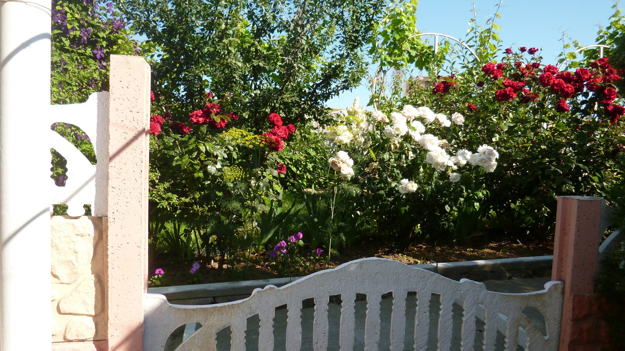 Фото Лукулл