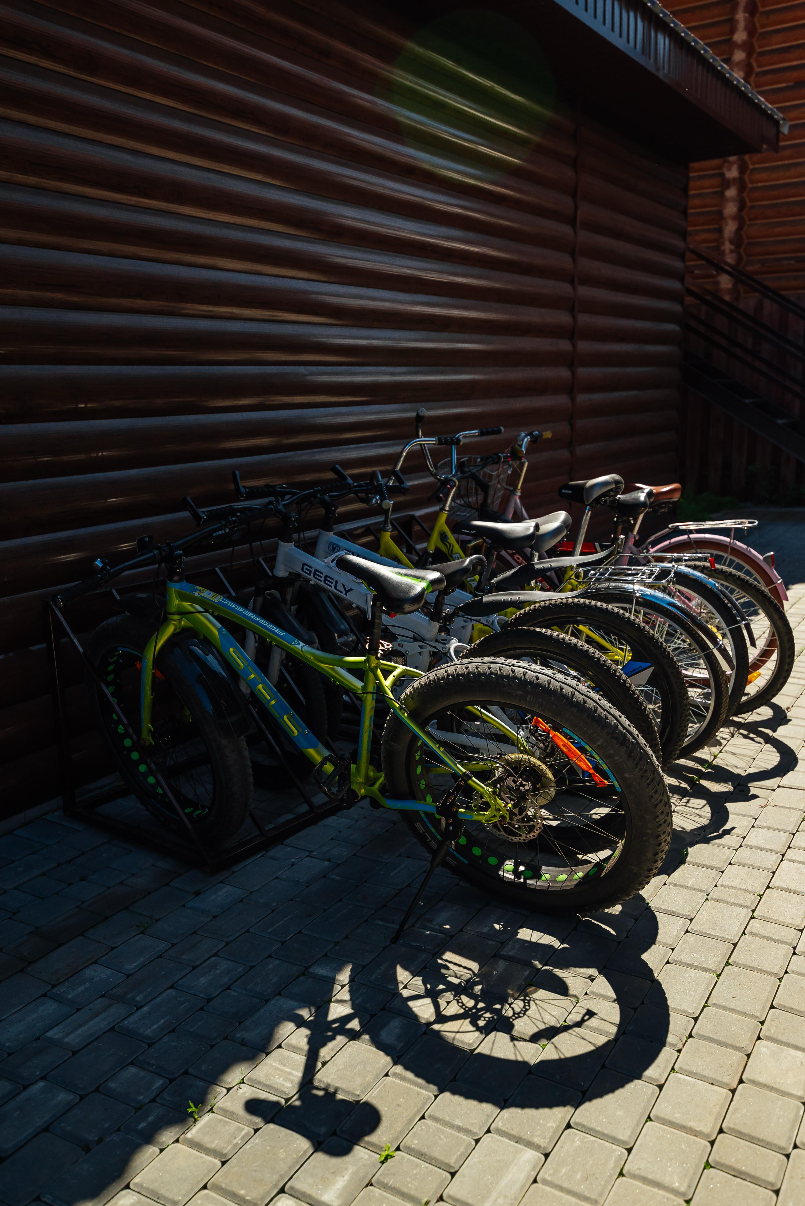 Фото Рыжий кот